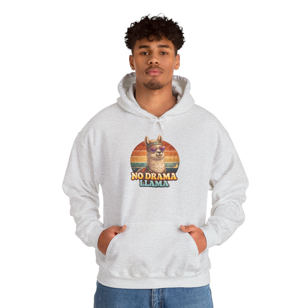 No Drama Llama Hoodie – Retro Sunset Graphic Pullover