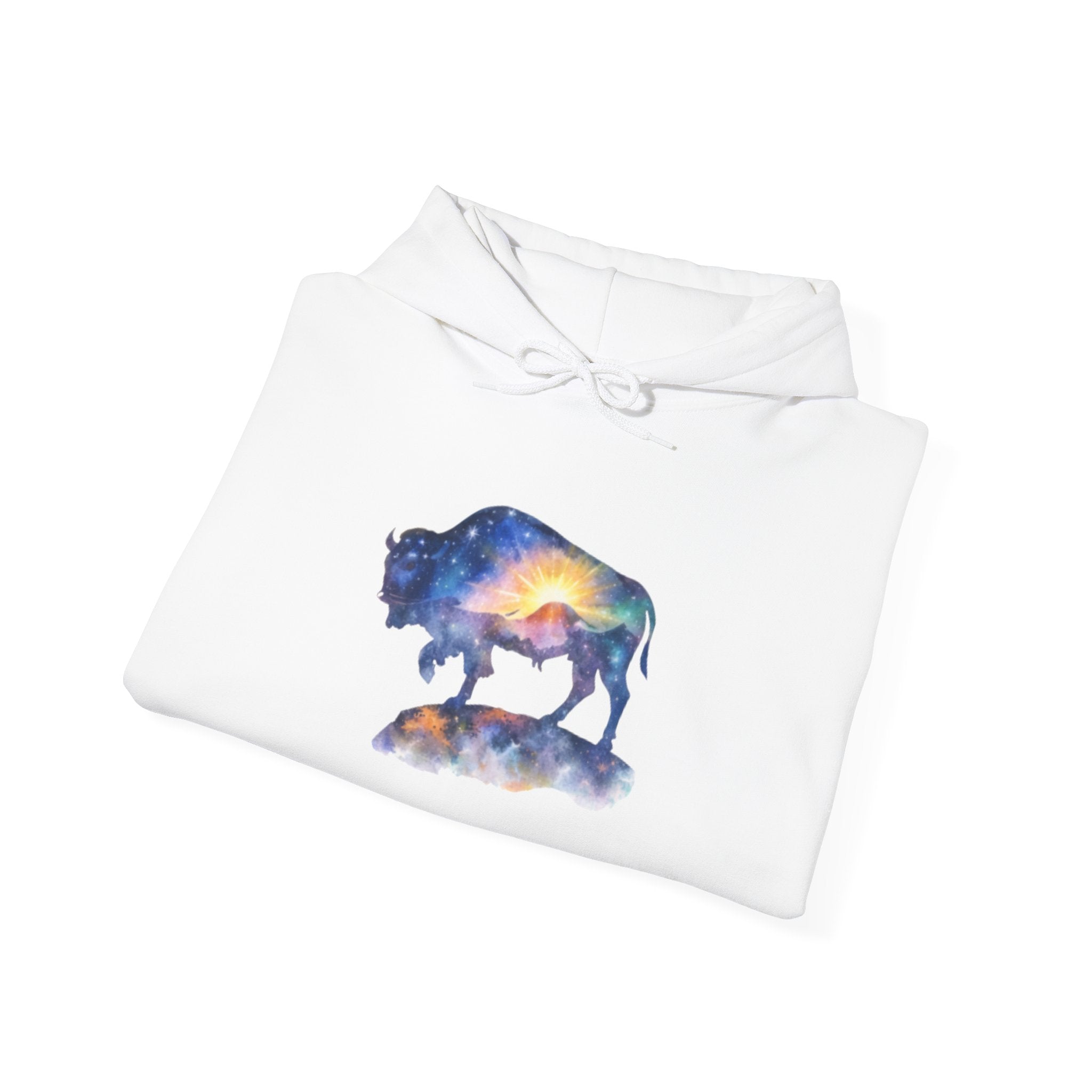 Colorful Bison Graphic Pullover