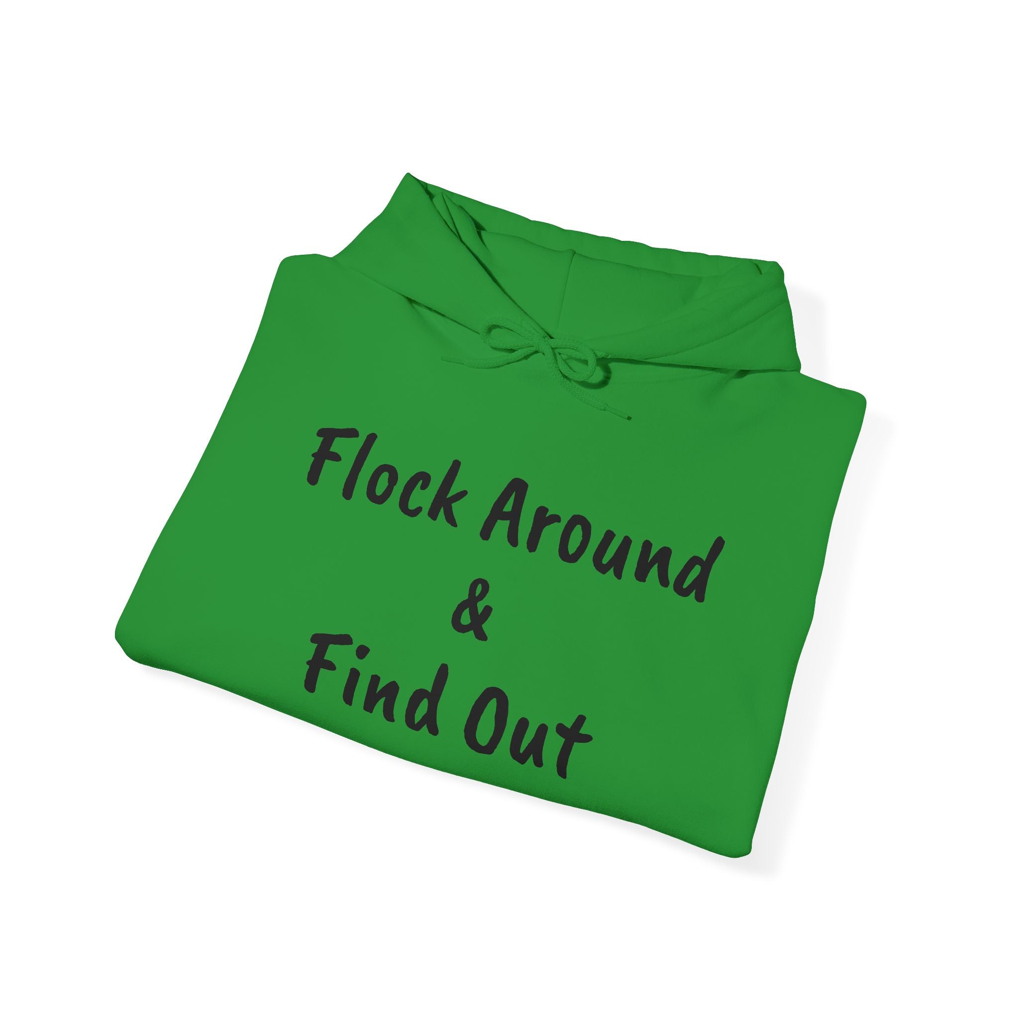 Flock Around & Find Out Hoodie | Funny Typography Pullover