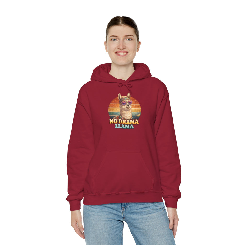 No Drama Llama Hoodie – Retro Sunset Graphic Pullover