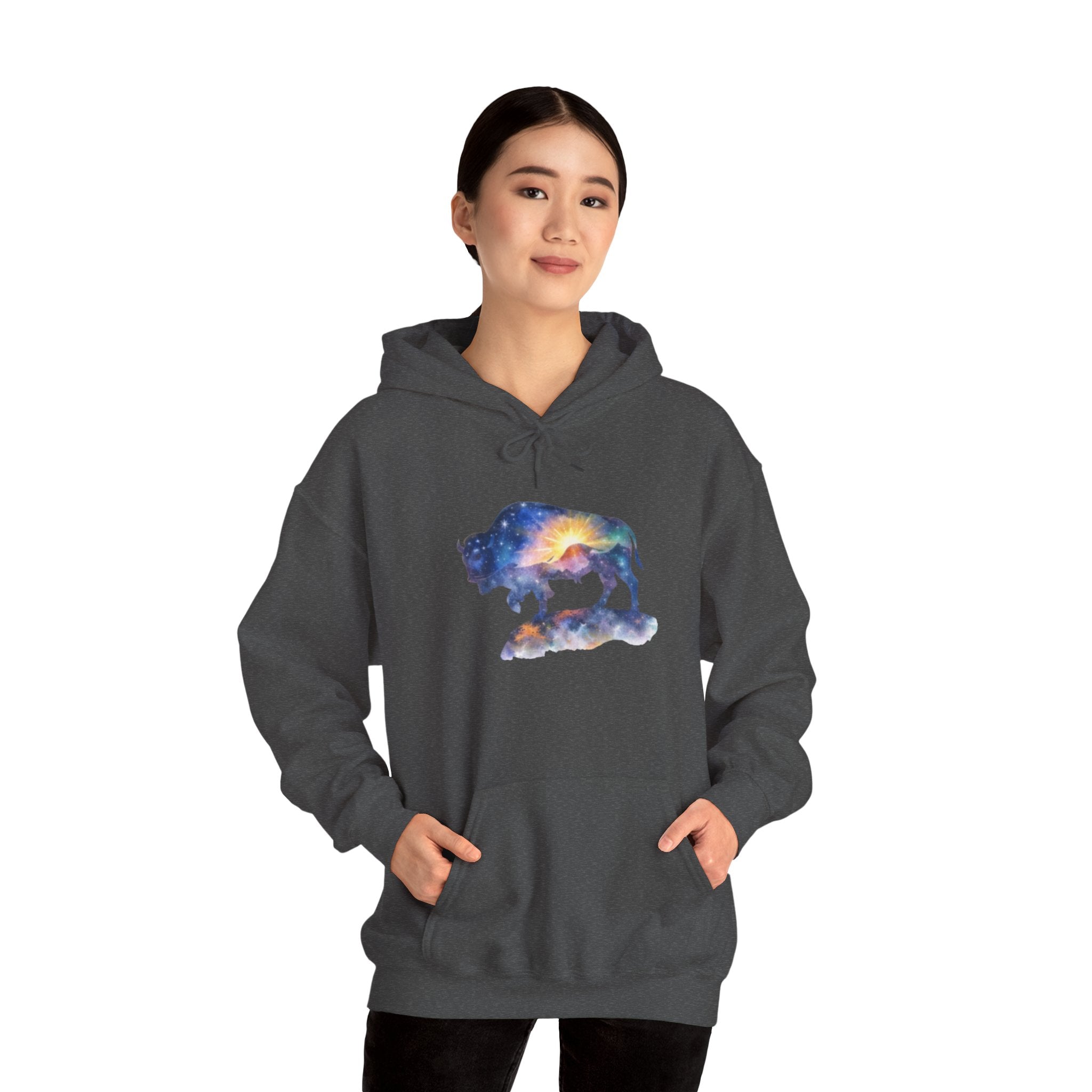 Colorful Bison Graphic Pullover