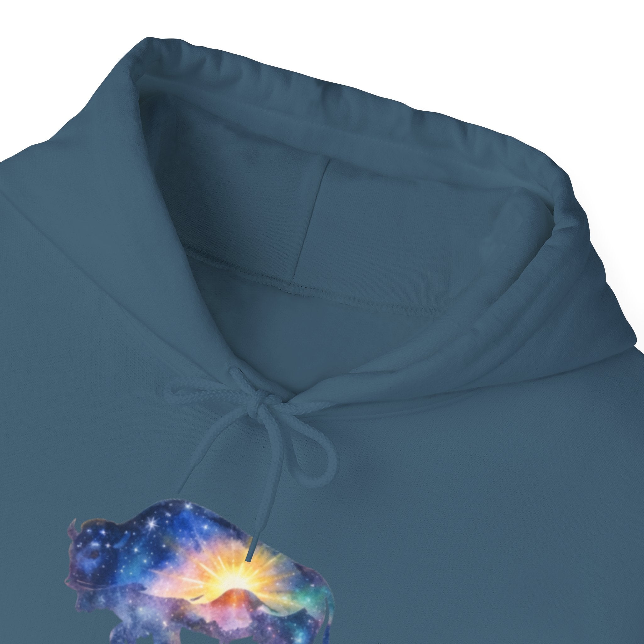 Colorful Bison Graphic Pullover