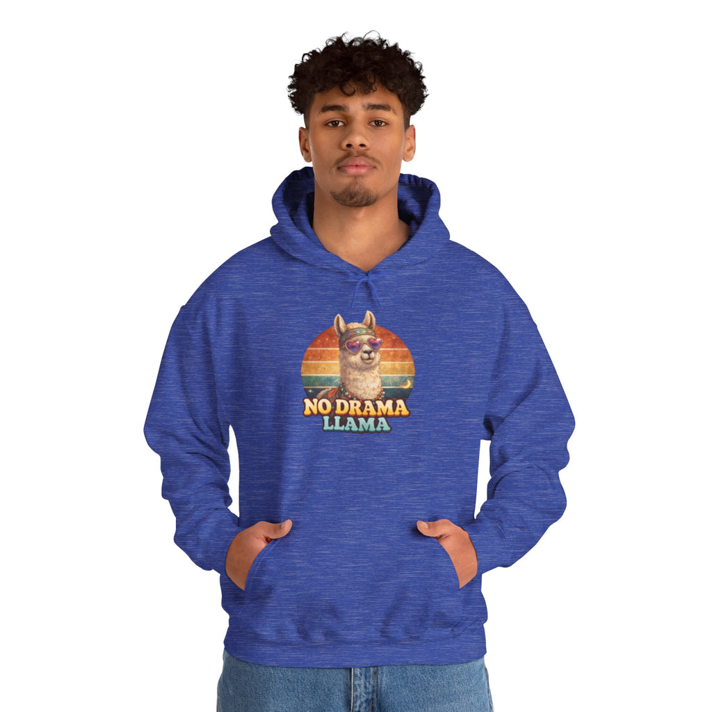 No Drama Llama Hoodie – Retro Sunset Graphic Pullover