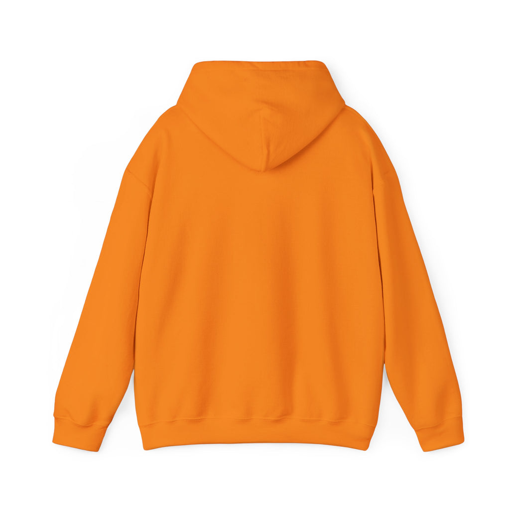 Duck Around and Find Out Hoodie — Funny Duck Graphic Hoodie
