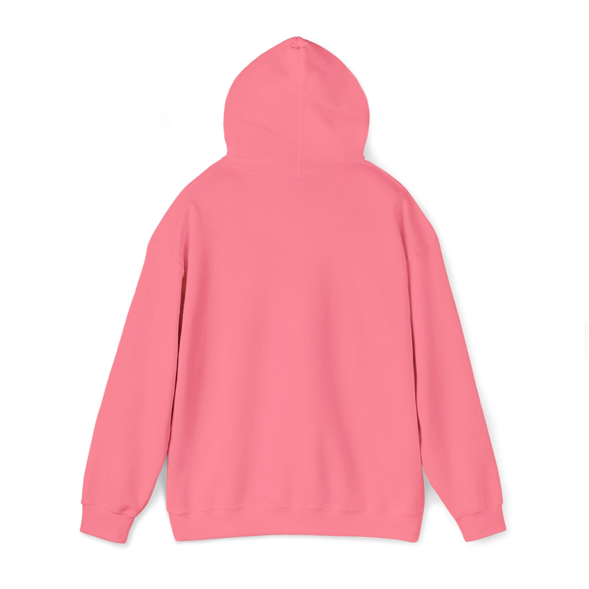 Dreamcatcher Antler Hoodie — Watercolor Feathers & Floral Boho Sweatshirt