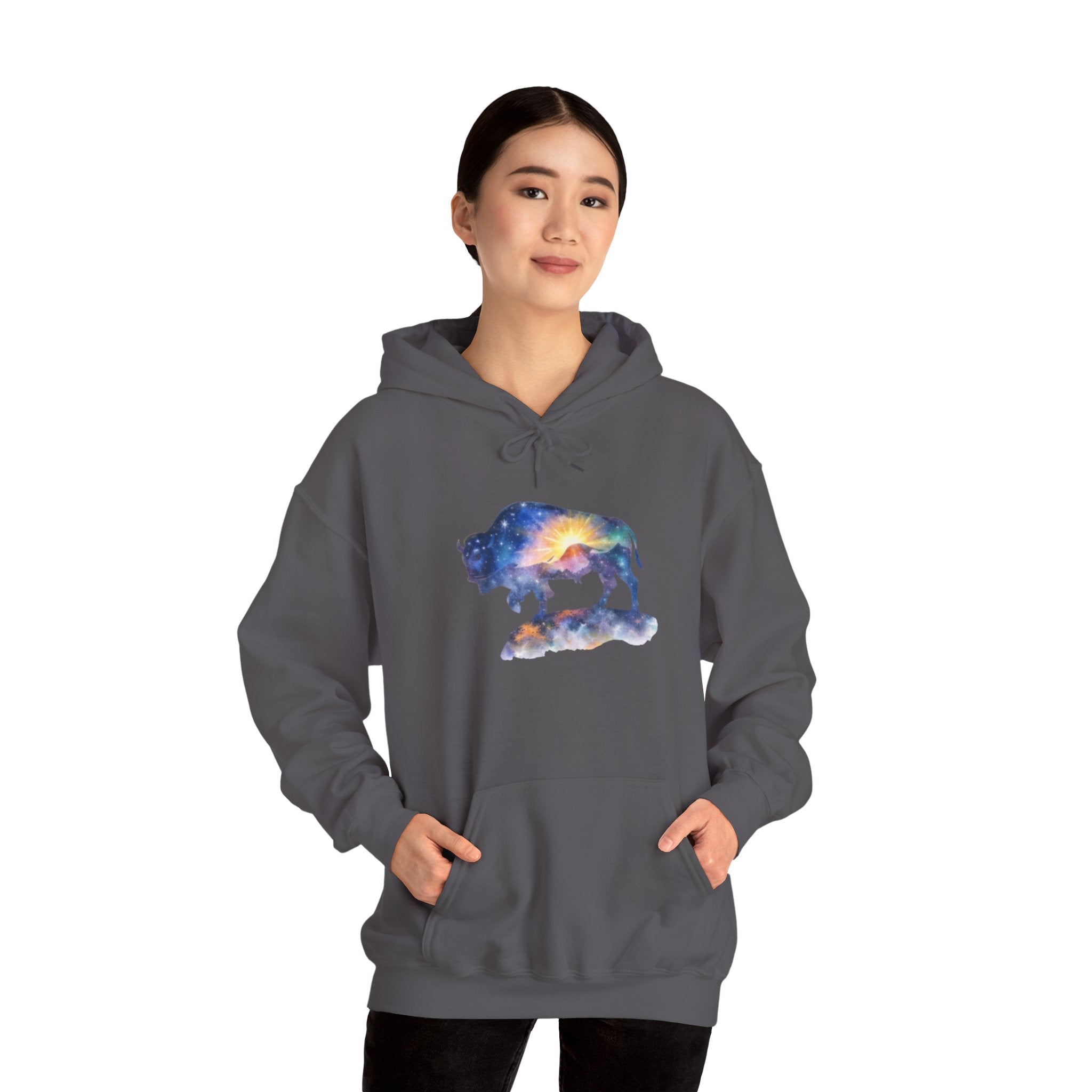 Colorful Bison Graphic Pullover