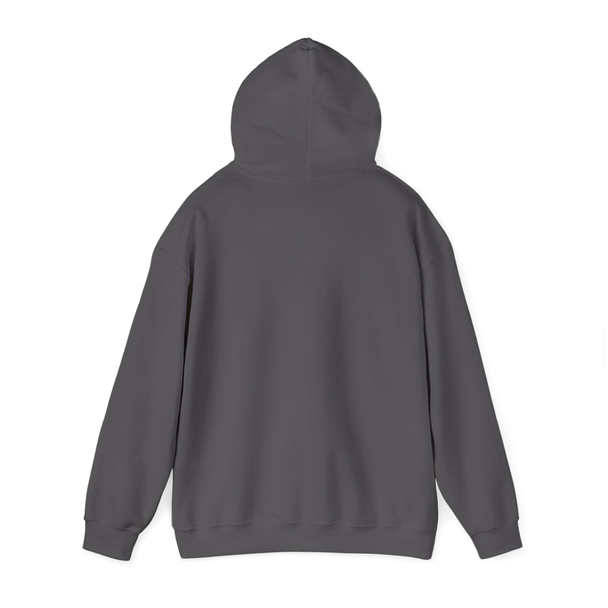 Duck Around and Find Out Hoodie — Funny Duck Graphic Hoodie