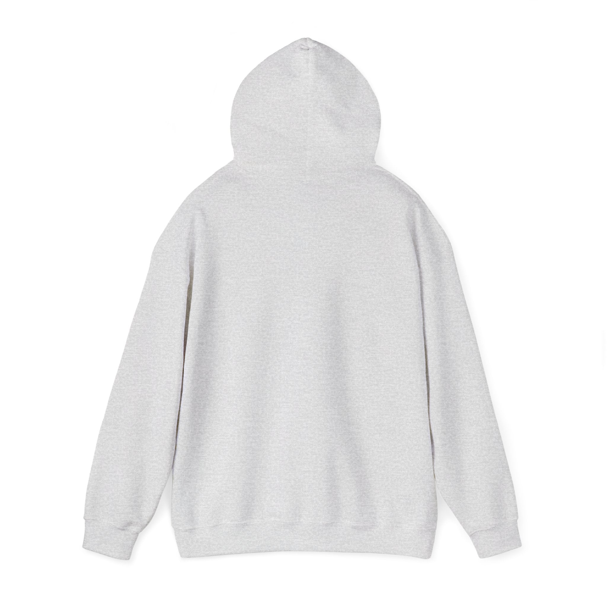 Duck Around and Find Out Hoodie — Funny Duck Graphic Hoodie