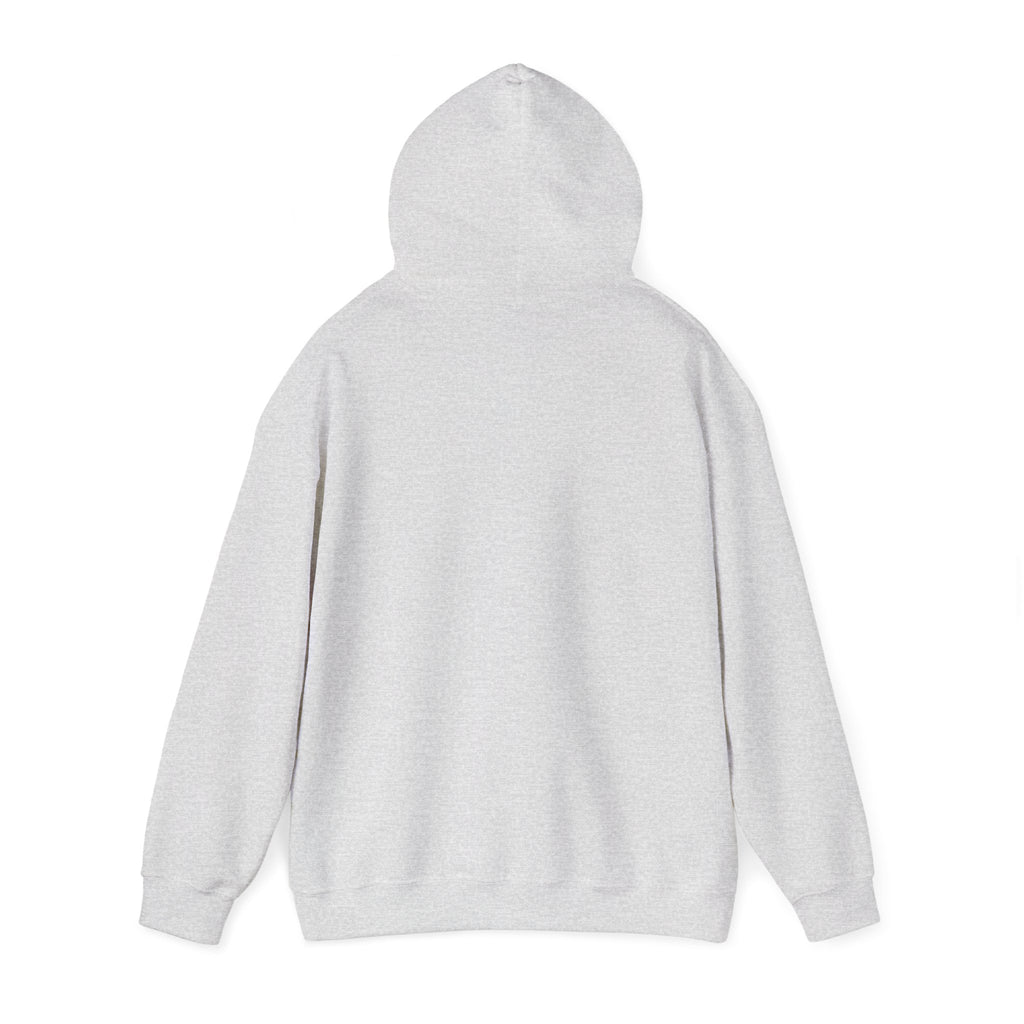 Boho Feather Dreamcatcher Hoodie — Watercolor Tribal Feathers Pullover