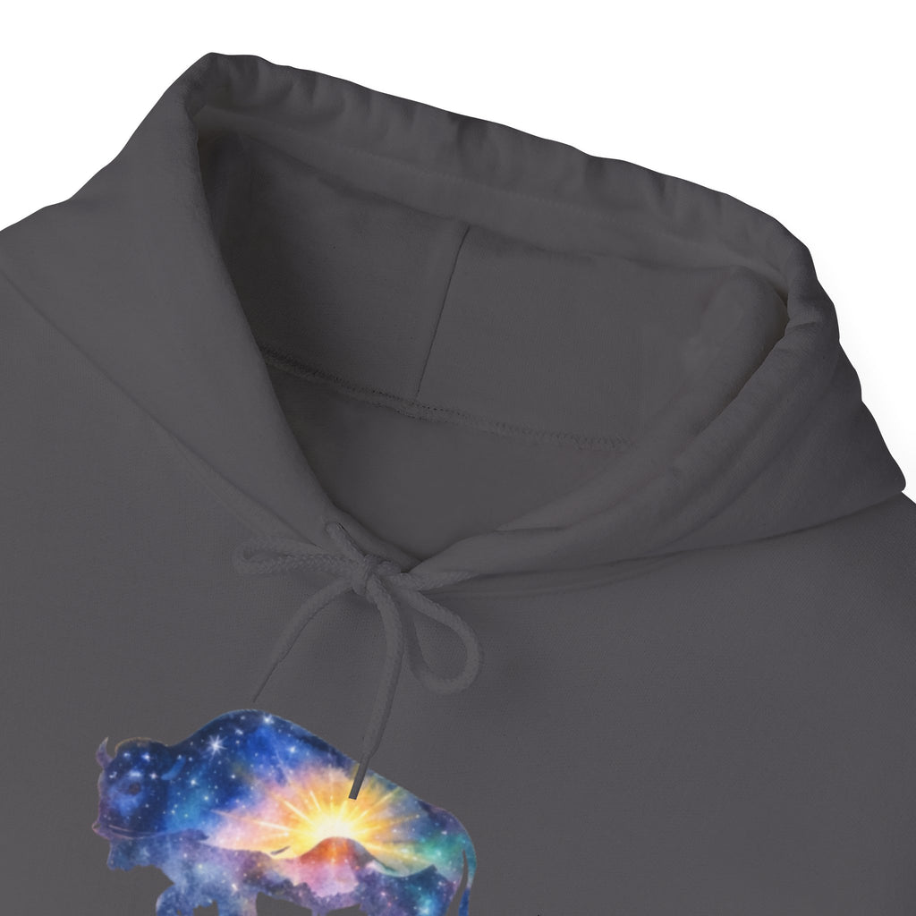 Colorful Bison Graphic Pullover