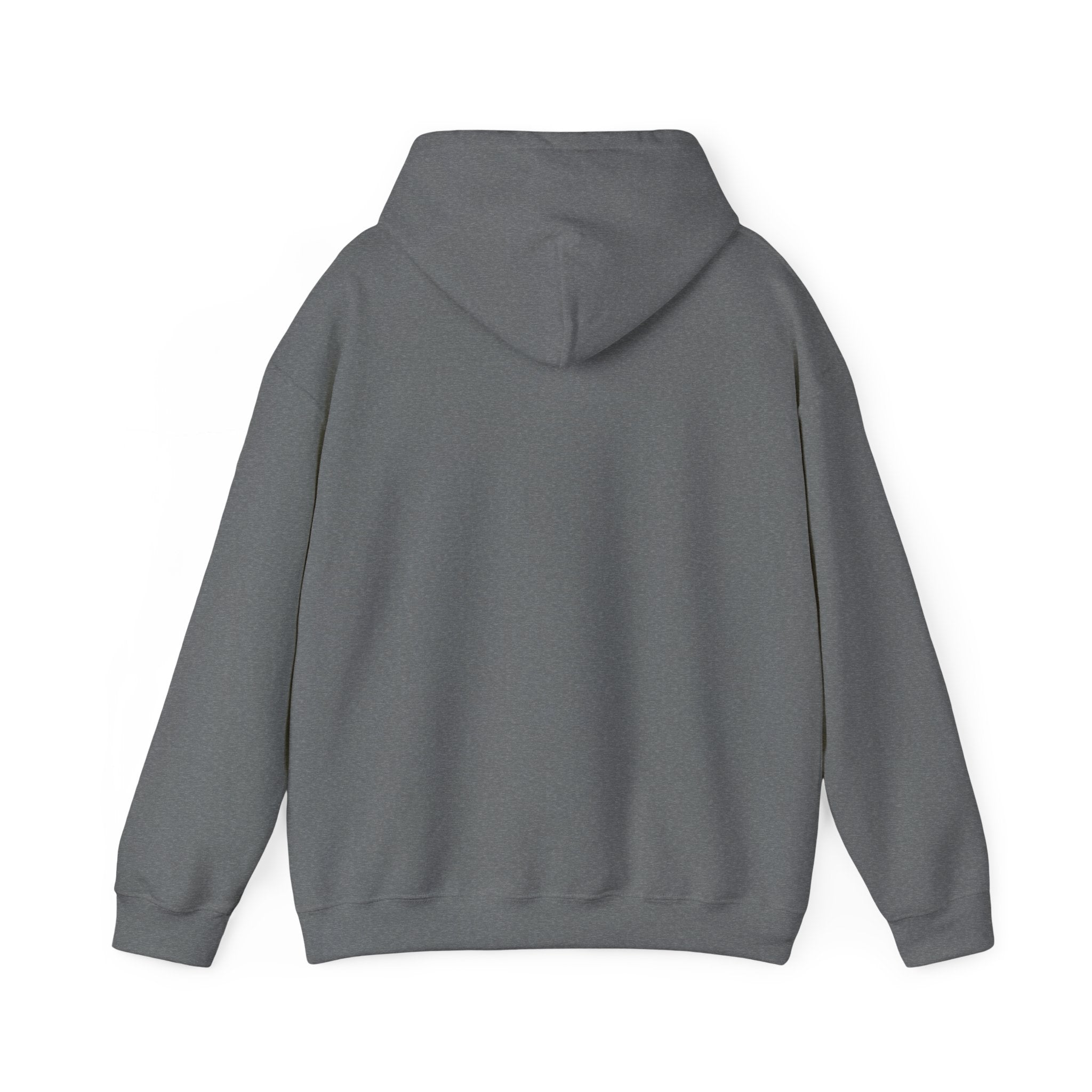 Flock Around & Find Out Hoodie | Funny Typography Pullover