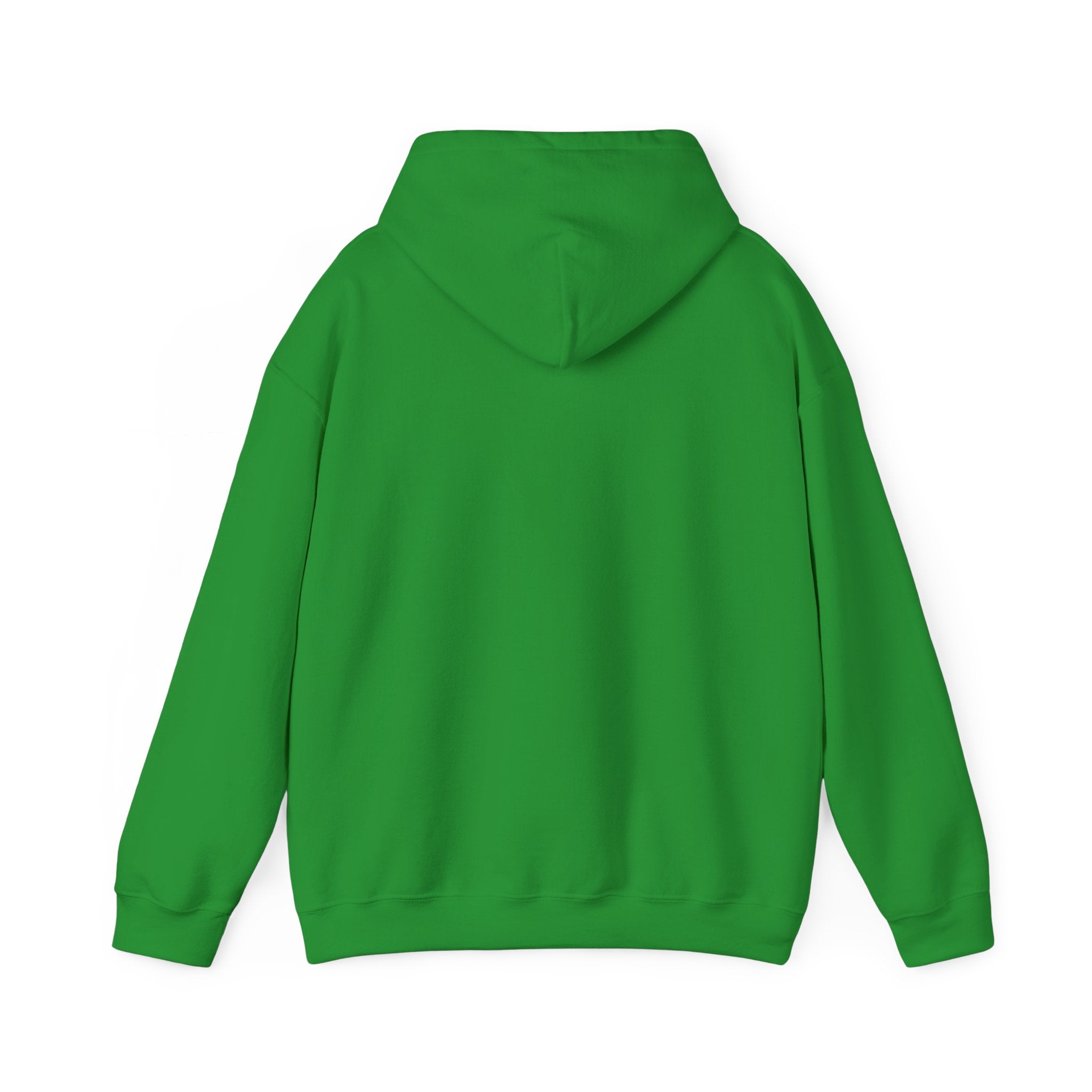 Cosmic Bison Graphic Sweatshirt
