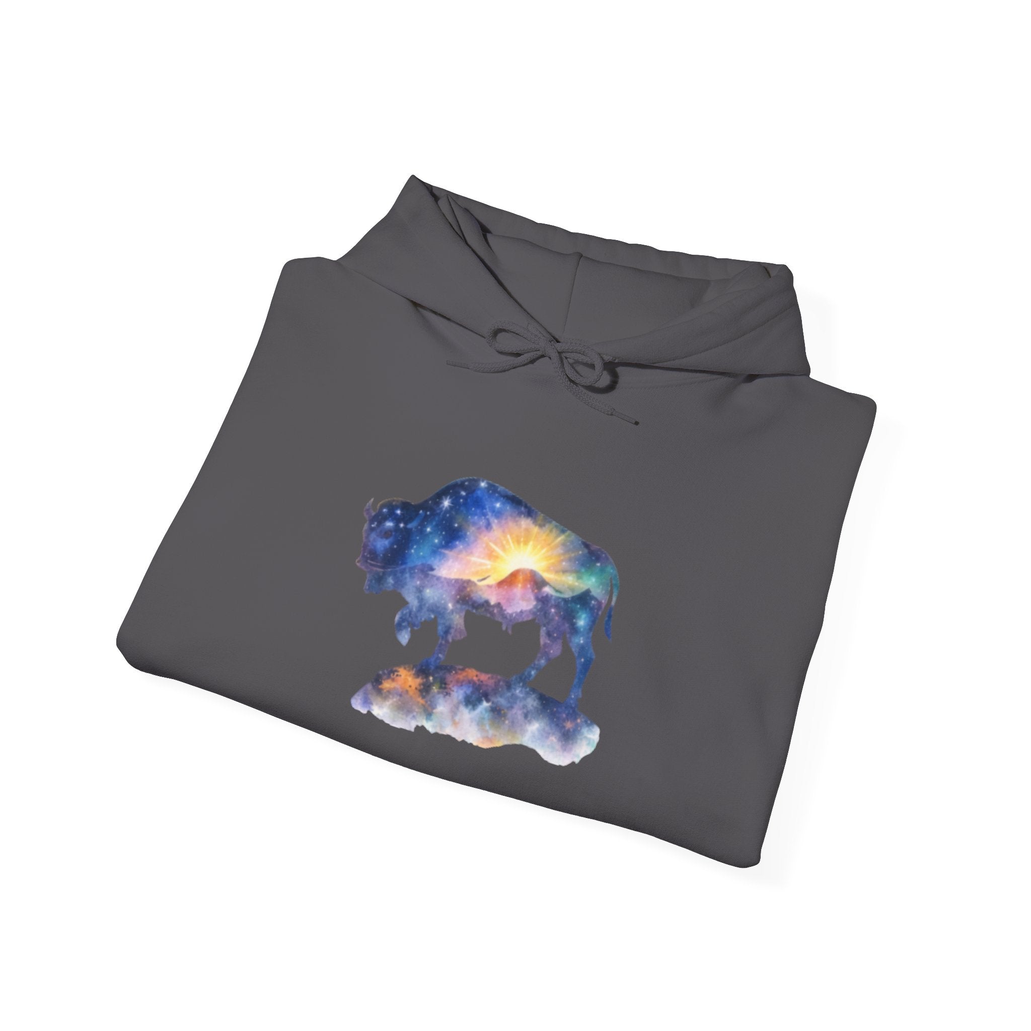 Colorful Bison Graphic Pullover