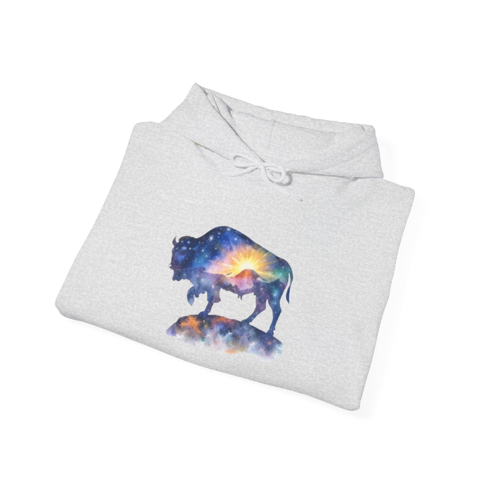 Colorful Bison Graphic Pullover