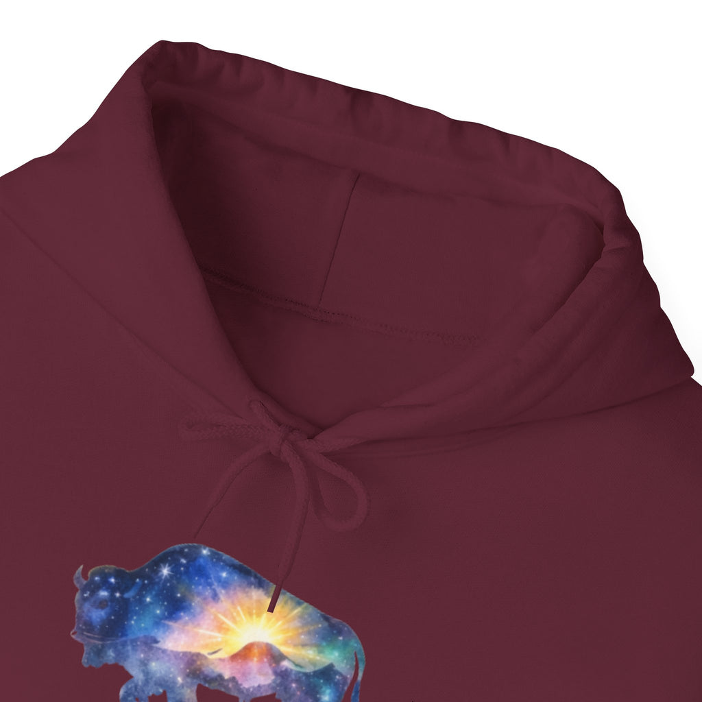 Colorful Bison Graphic Pullover
