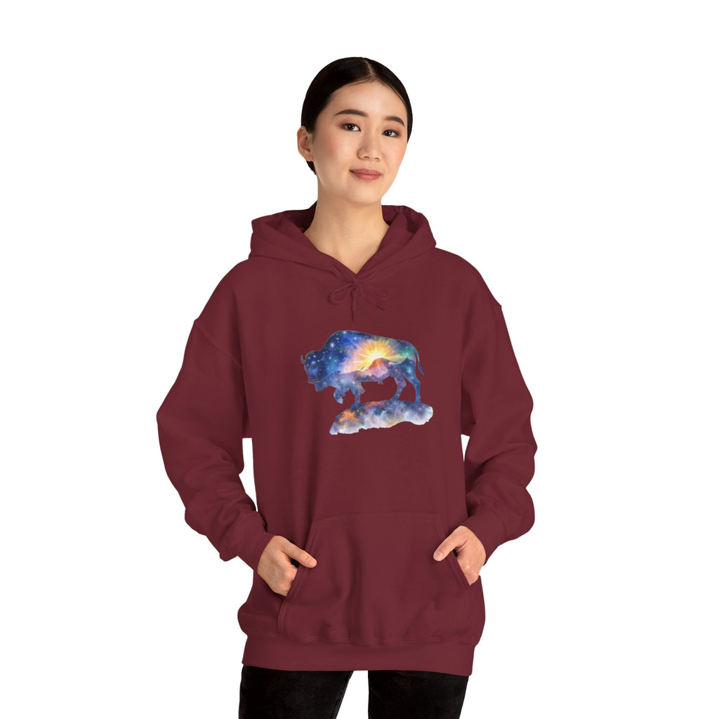 Colorful Bison Graphic Pullover