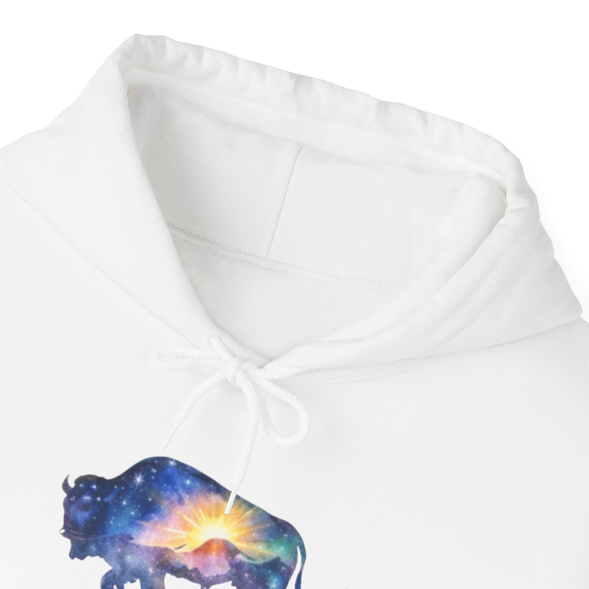 Colorful Bison Graphic Pullover