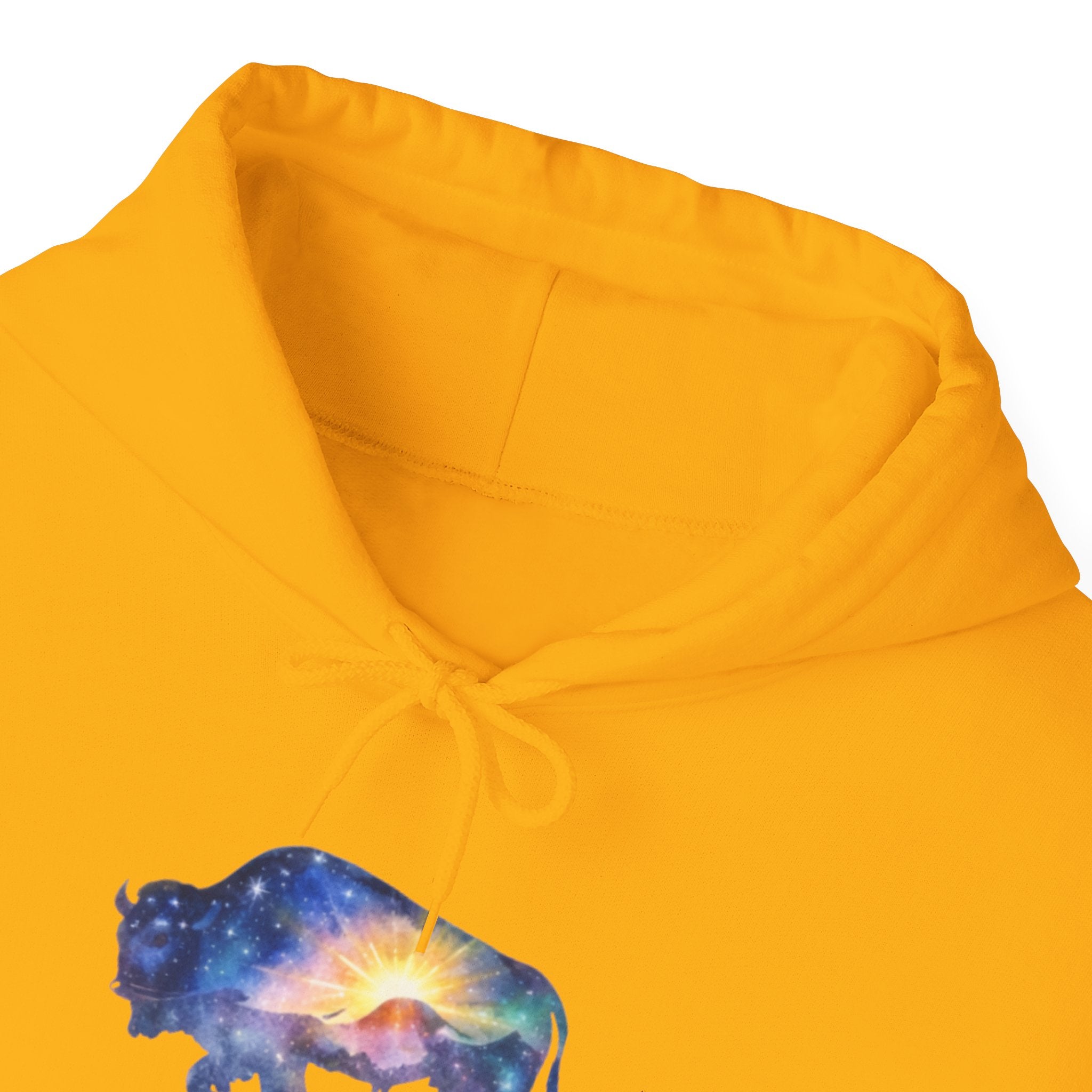 Colorful Bison Graphic Pullover