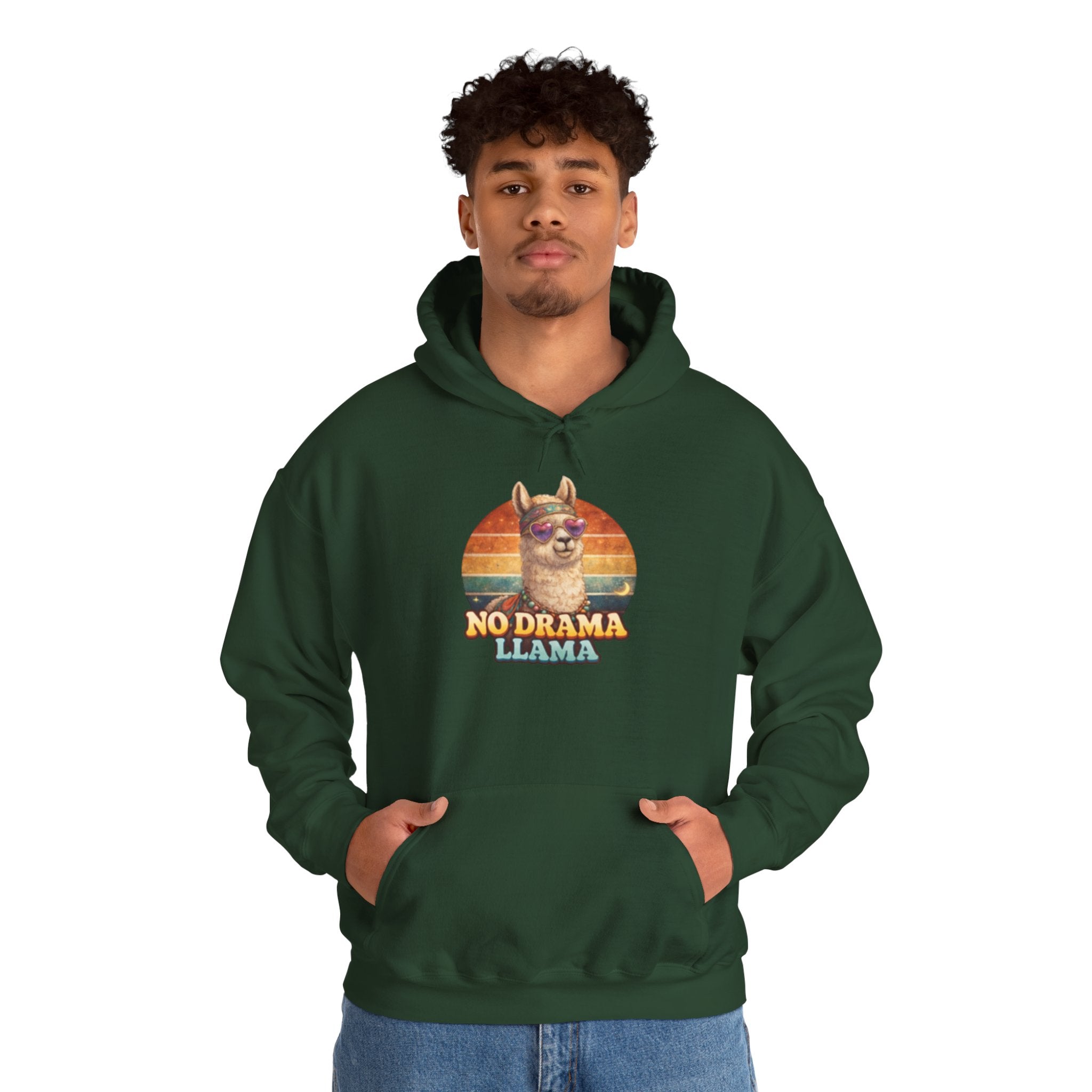 No Drama Llama Hoodie – Retro Sunset Graphic Pullover