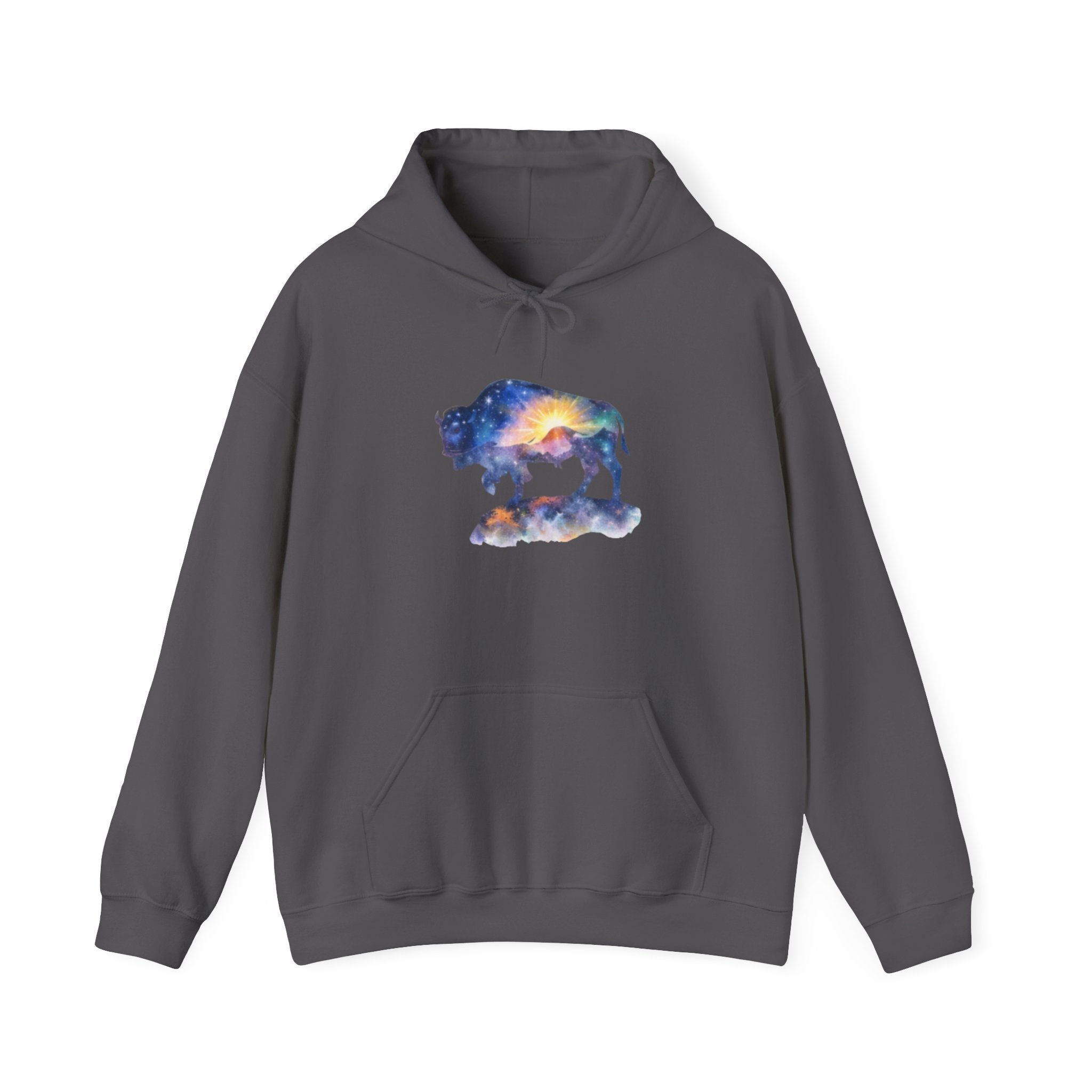 Colorful Bison Graphic Pullover