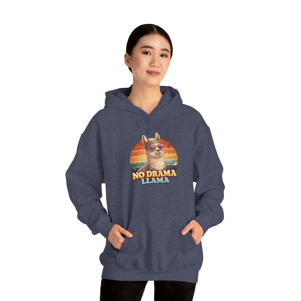 No Drama Llama Hoodie – Retro Sunset Graphic Pullover