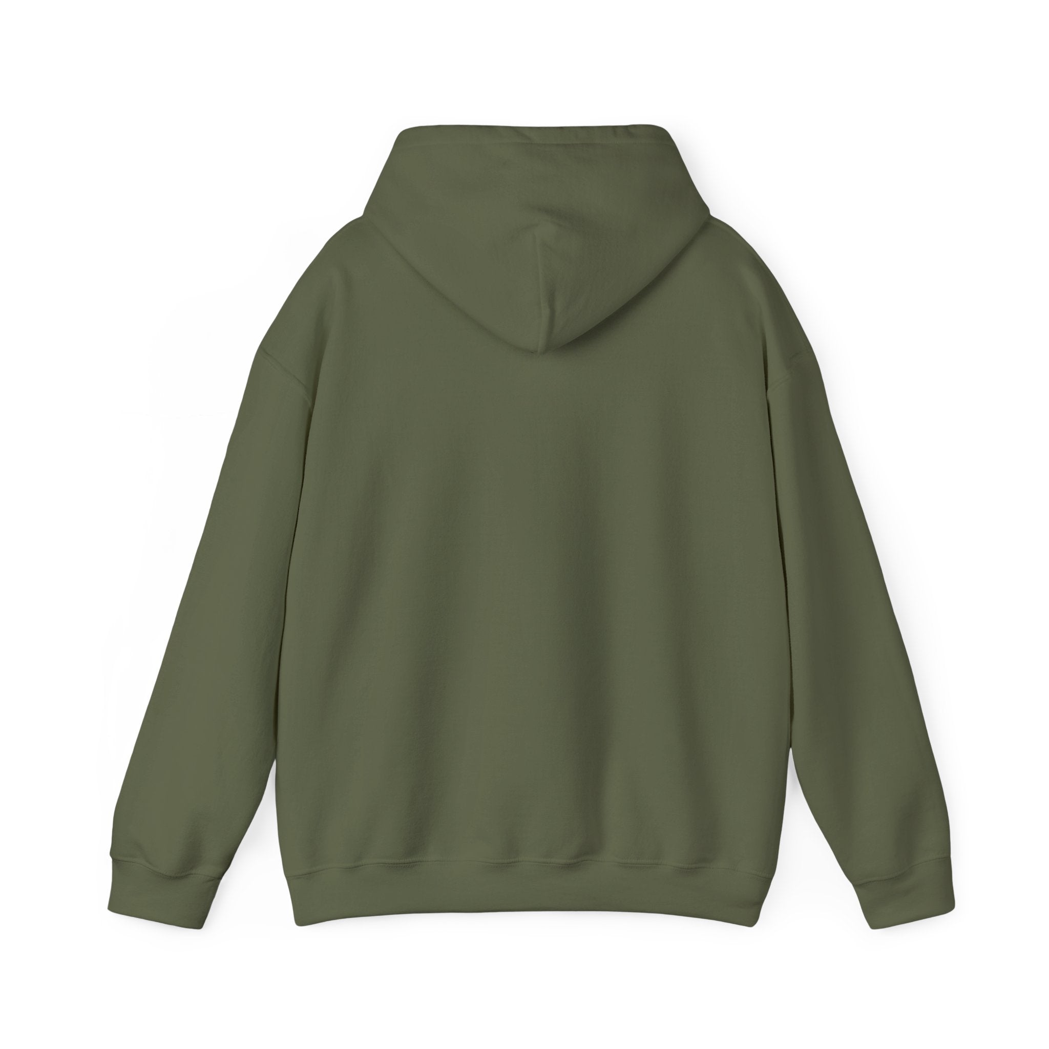 Nature Dreamcatcher Hoodie — Colorful Mountain Sunset Graphic