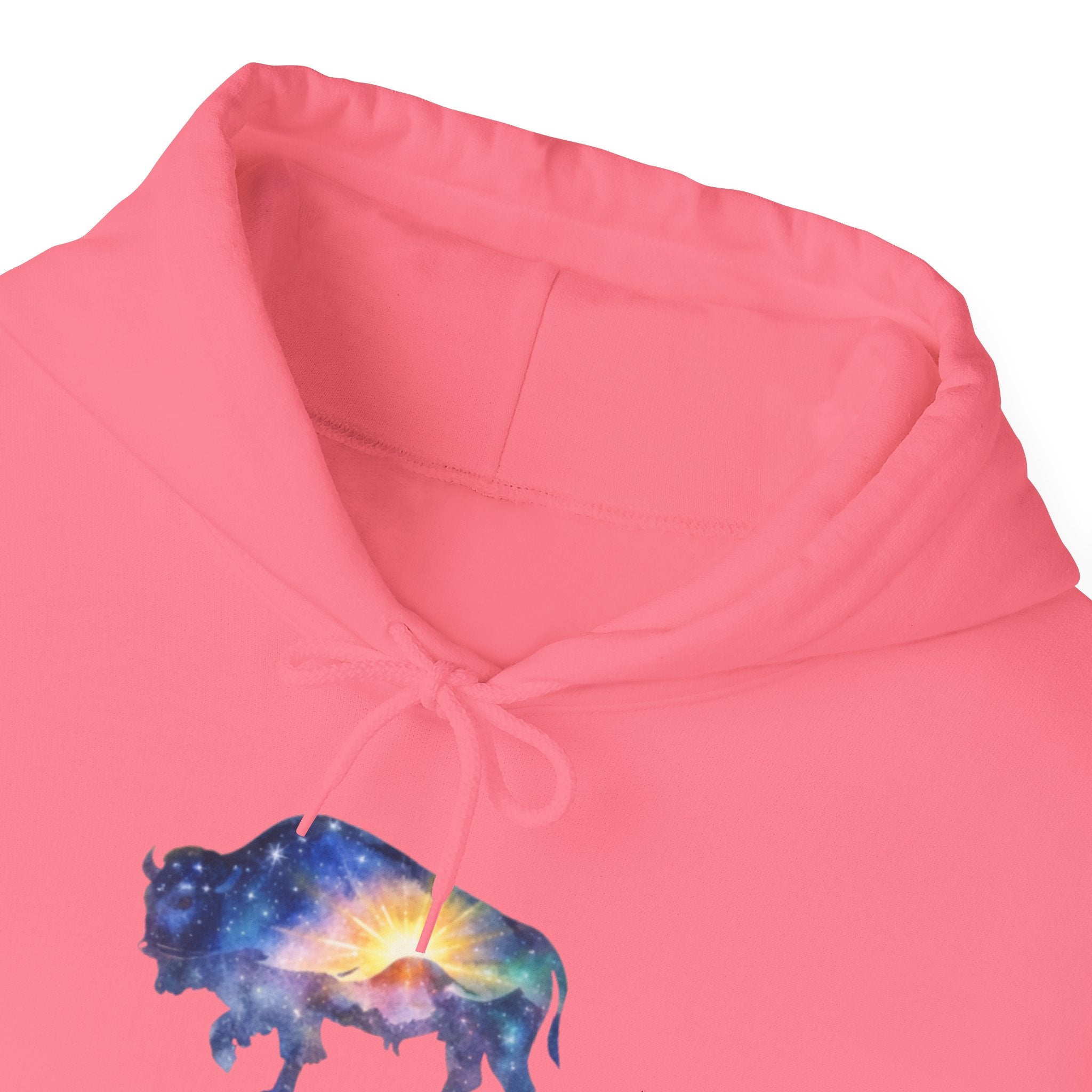 Cosmic Bison Graphic Sweatshirt