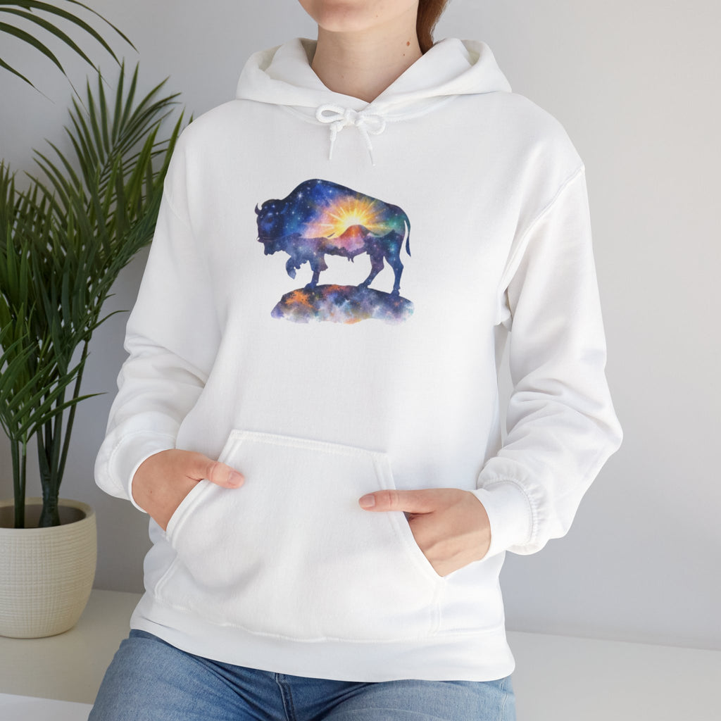 Colorful Bison Graphic Pullover