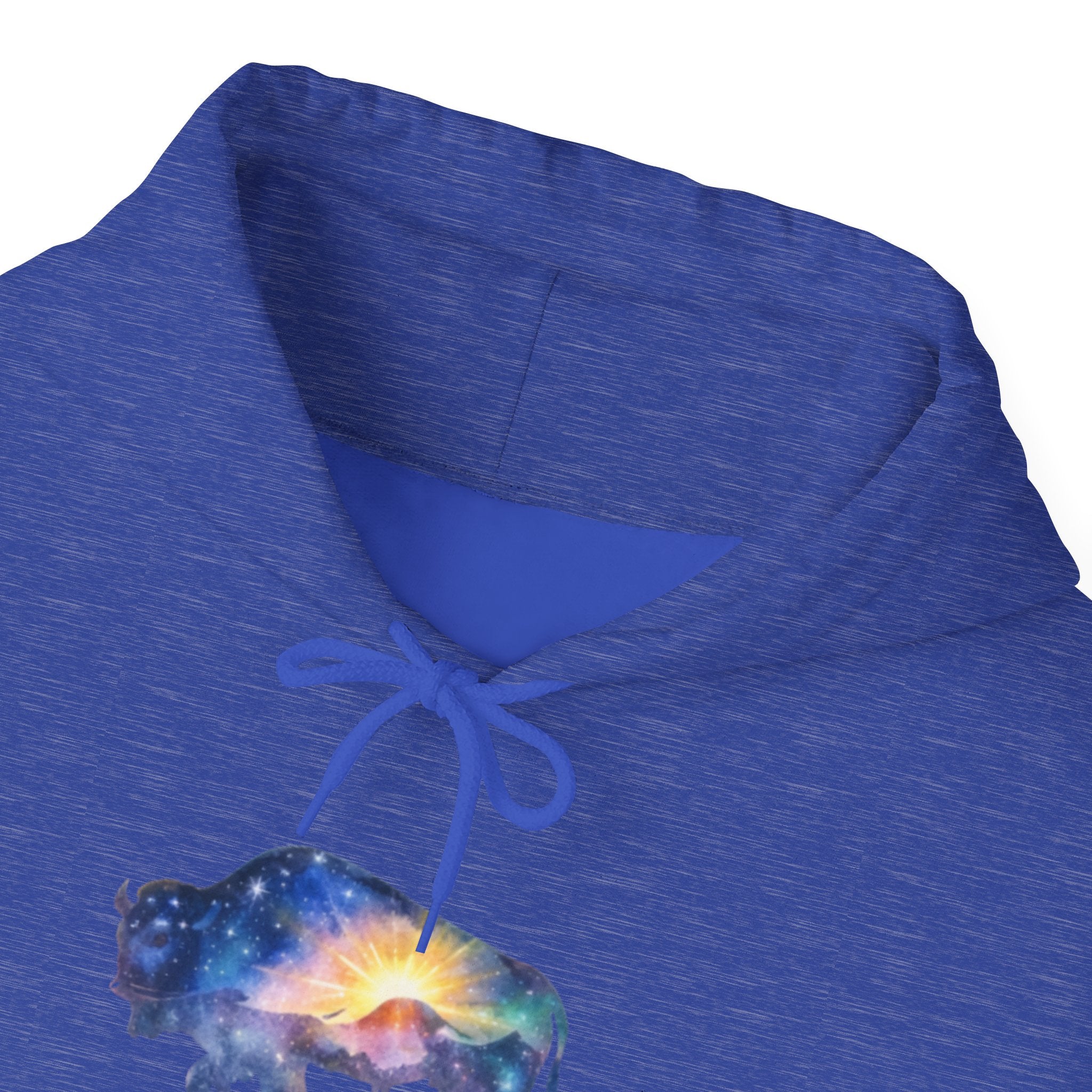 Colorful Bison Graphic Pullover