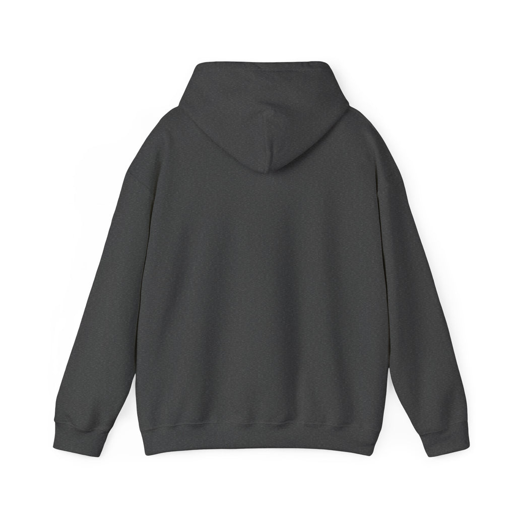 Colorful Bison Graphic Pullover