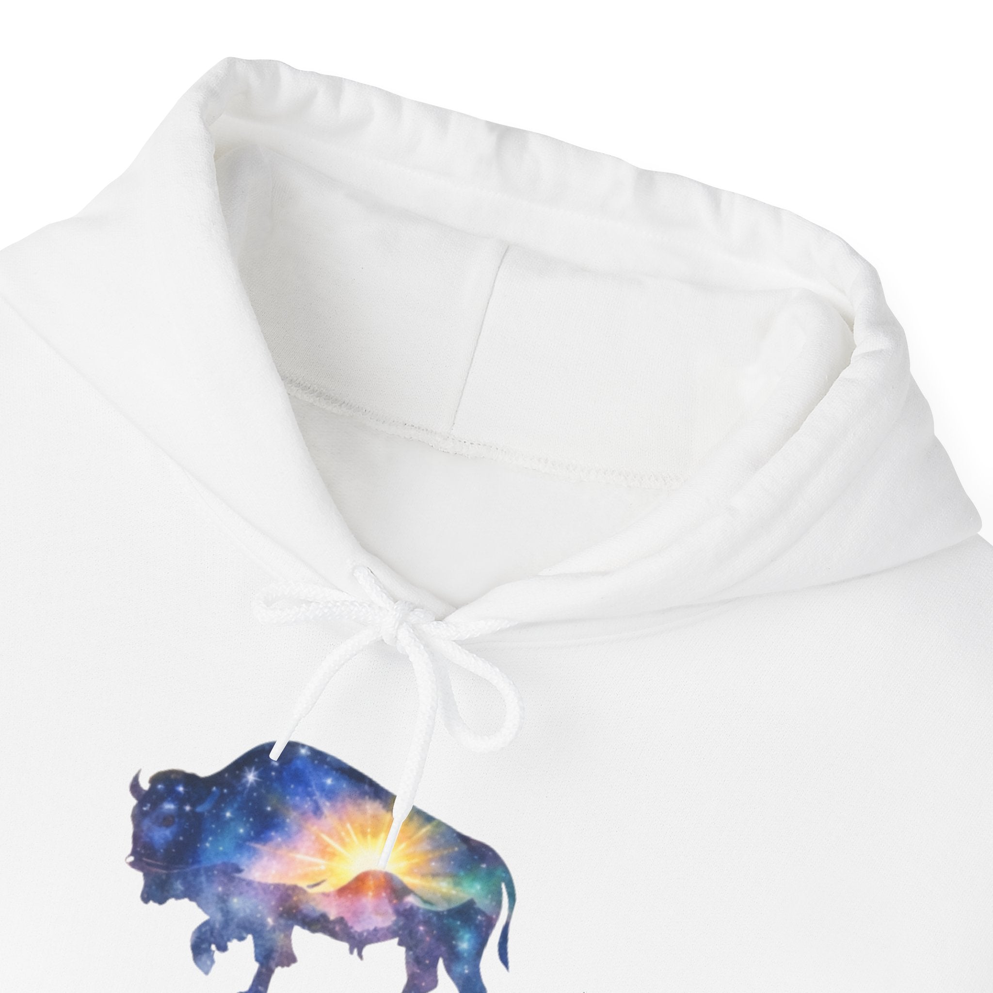 Cosmic Bison Graphic Sweatshirt