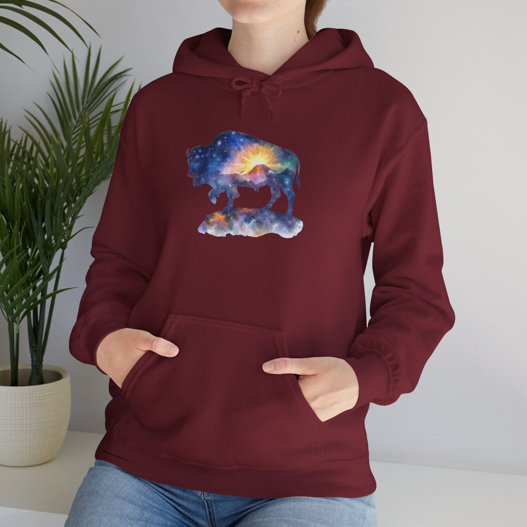 Colorful Bison Graphic Pullover