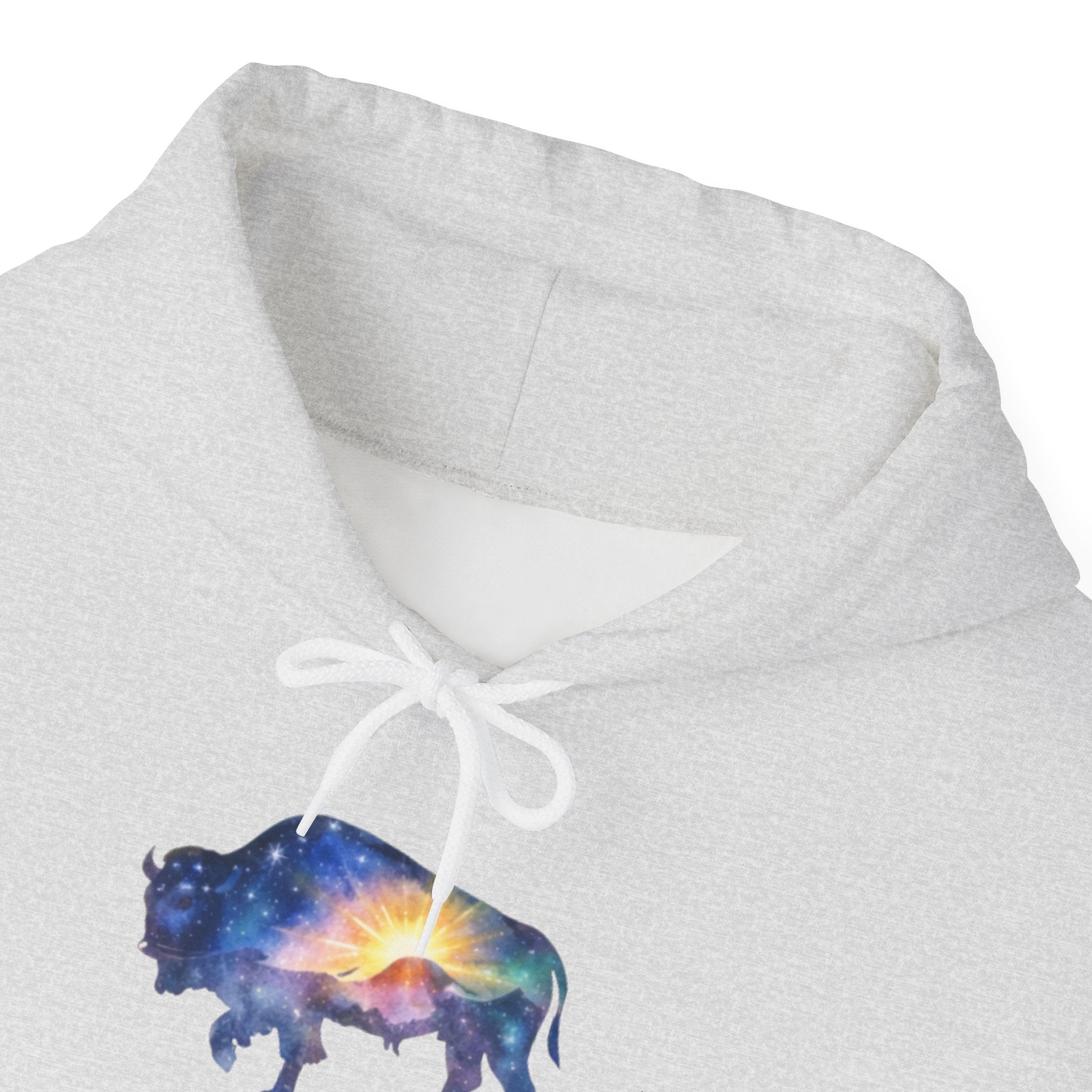 Cosmic Bison Graphic Sweatshirt