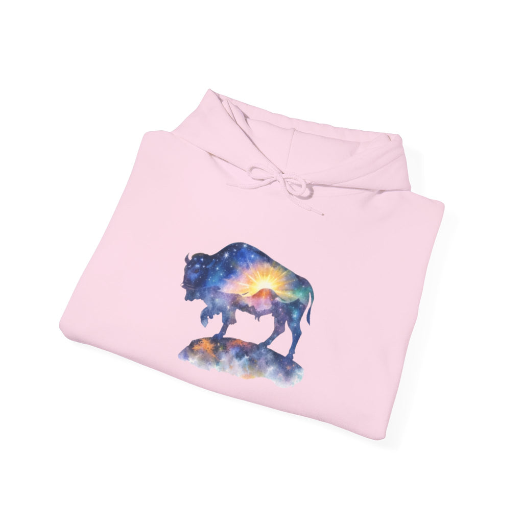 Colorful Bison Graphic Pullover