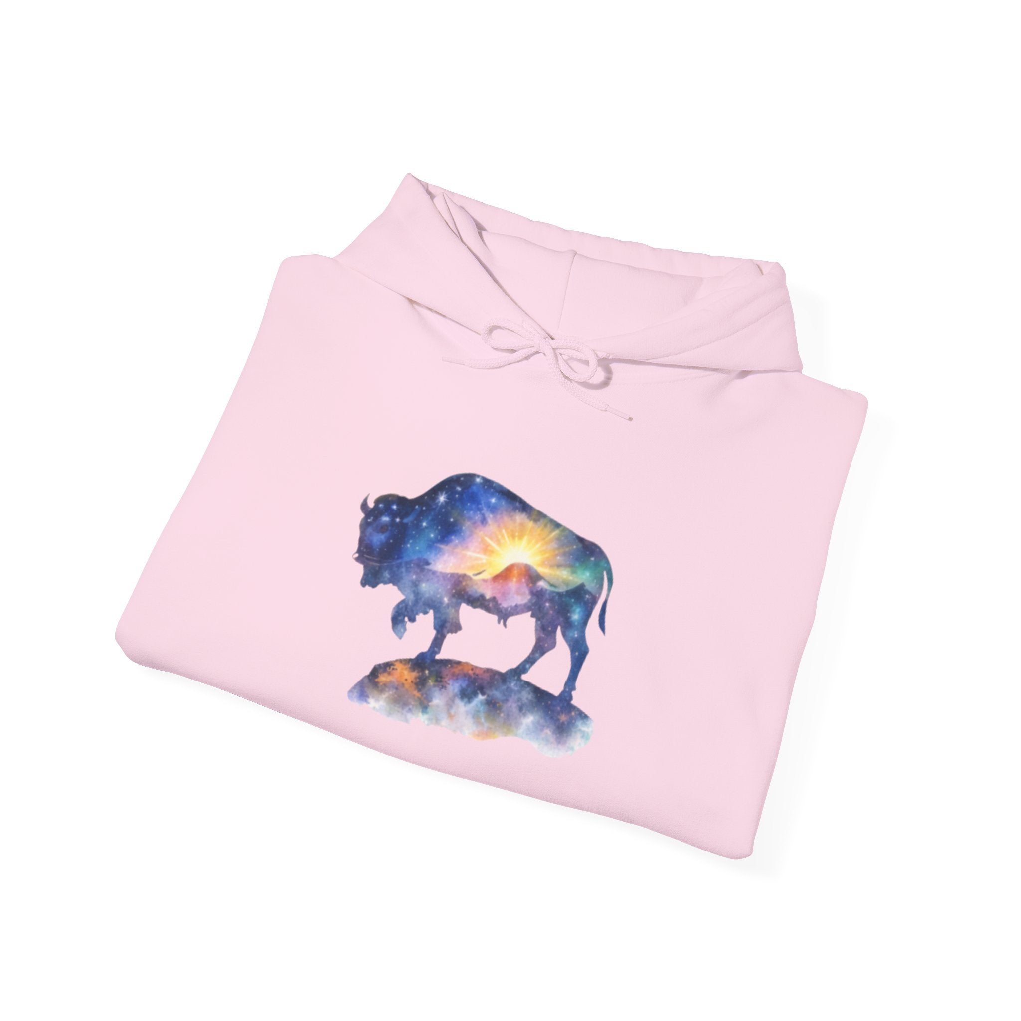 Colorful Bison Graphic Pullover