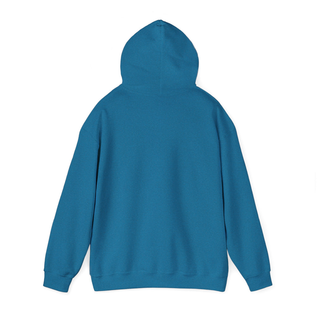 Nature Dreamcatcher Hoodie — Colorful Mountain Sunset Graphic