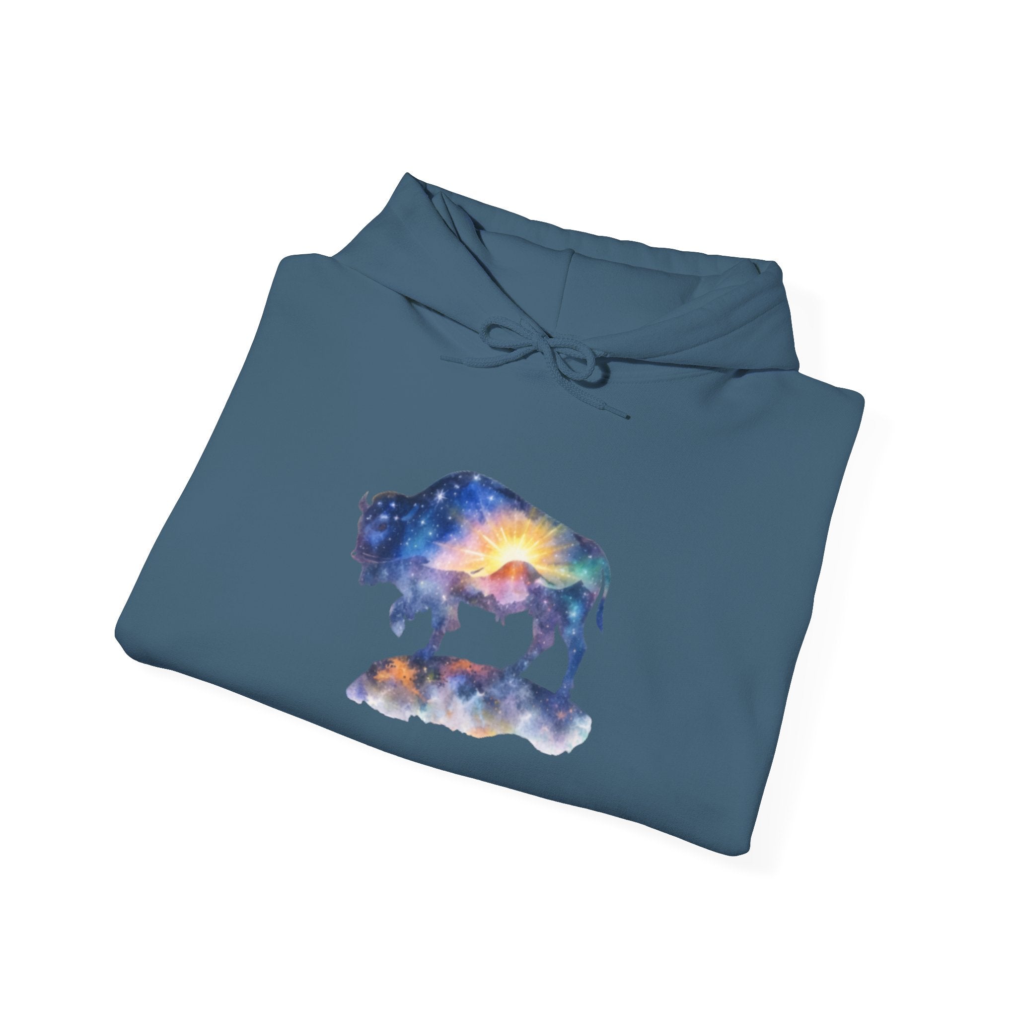 Colorful Bison Graphic Pullover