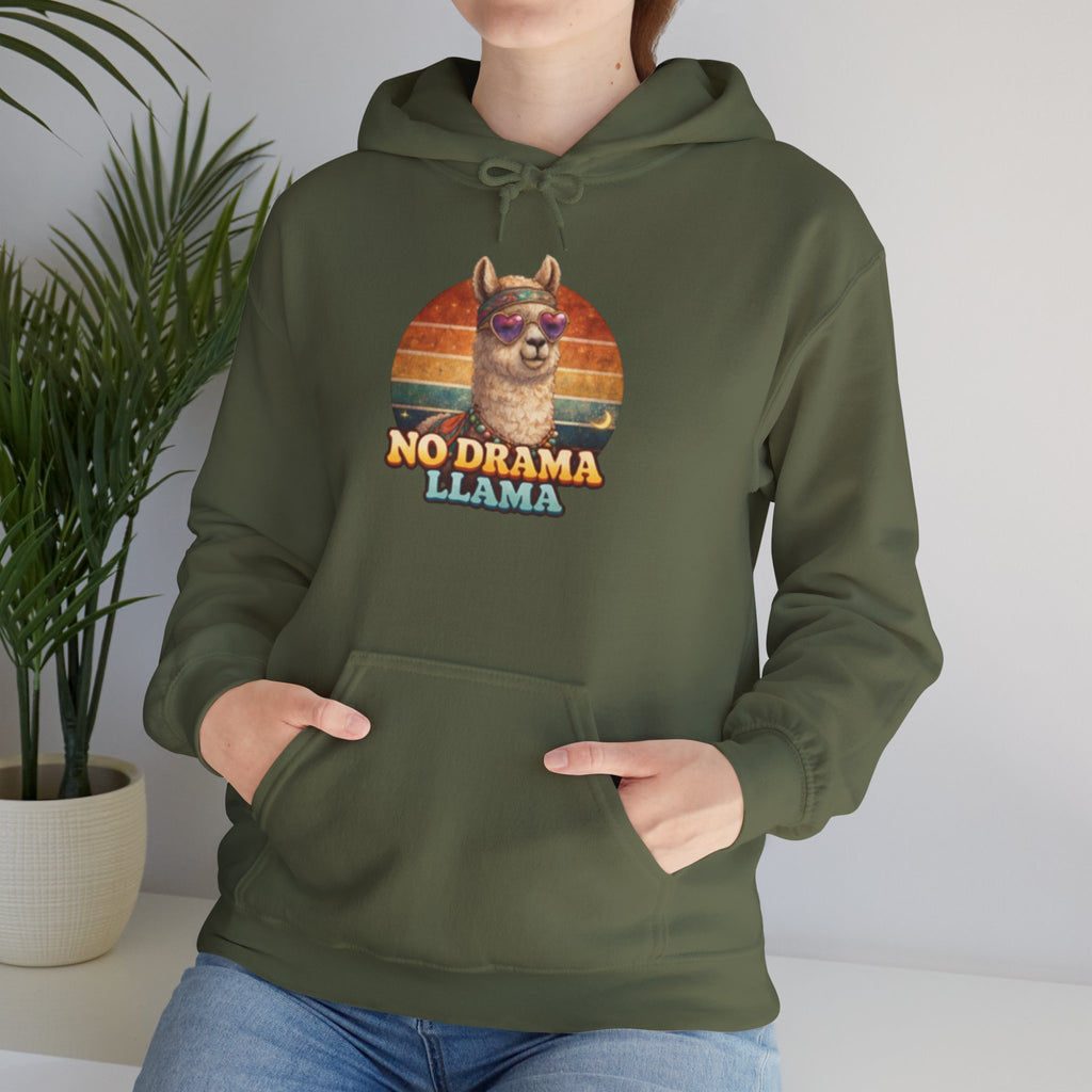 No Drama Llama Hoodie – Retro Sunset Graphic Pullover