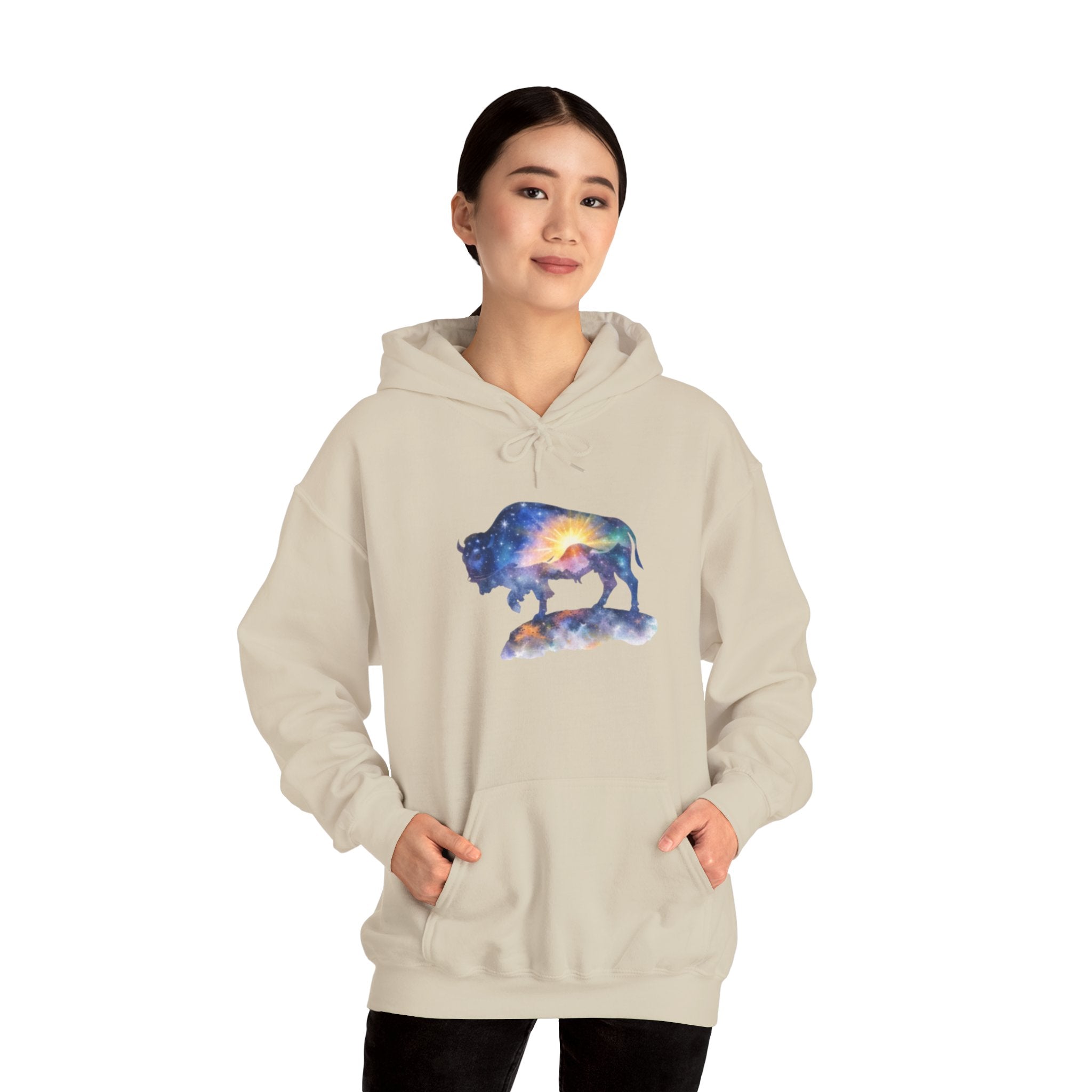 Colorful Bison Graphic Pullover