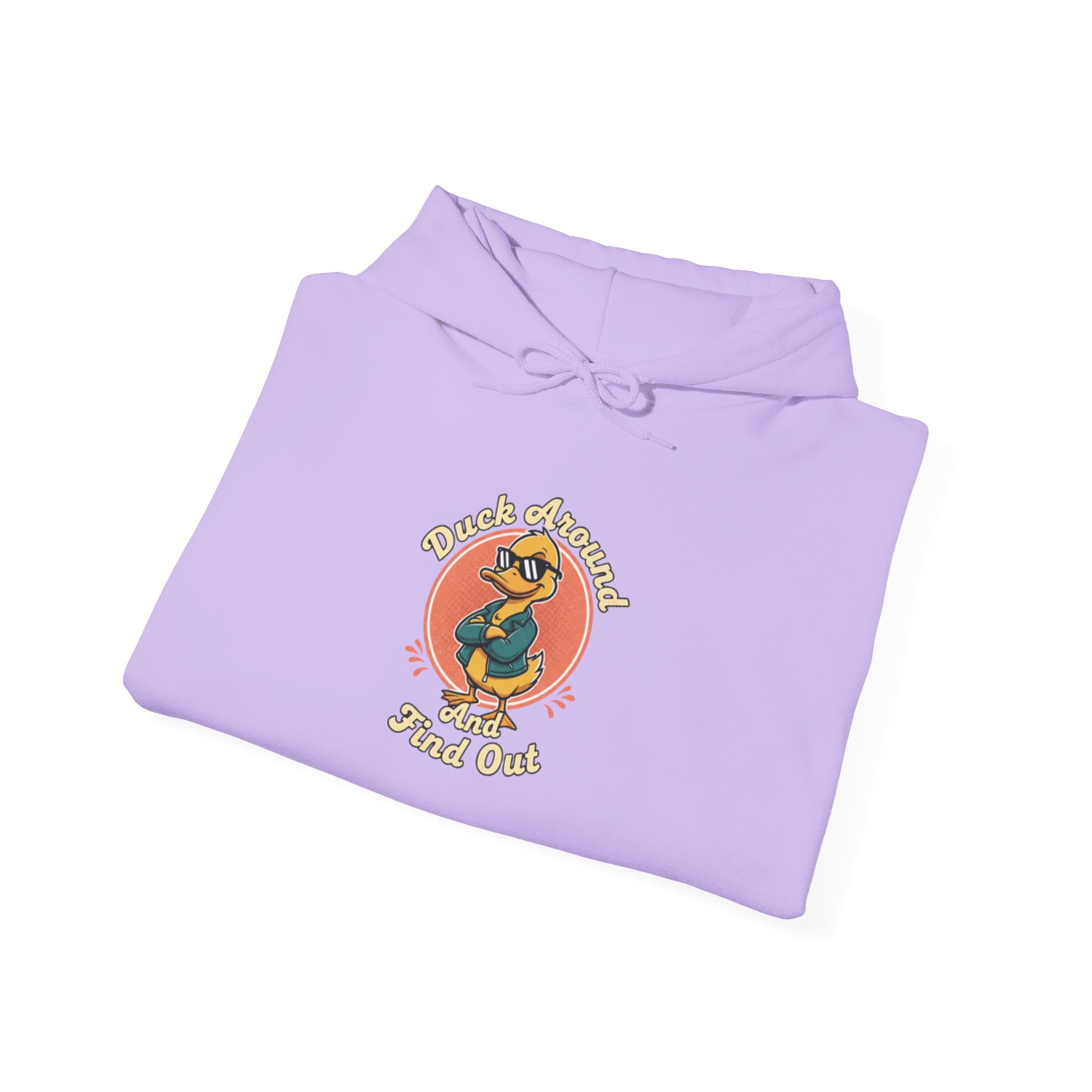 Duck Around and Find Out Hoodie — Funny Duck Graphic Hoodie