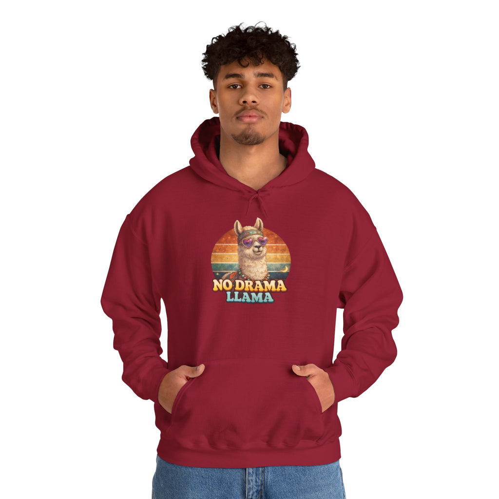 No Drama Llama Hoodie – Retro Sunset Graphic Pullover