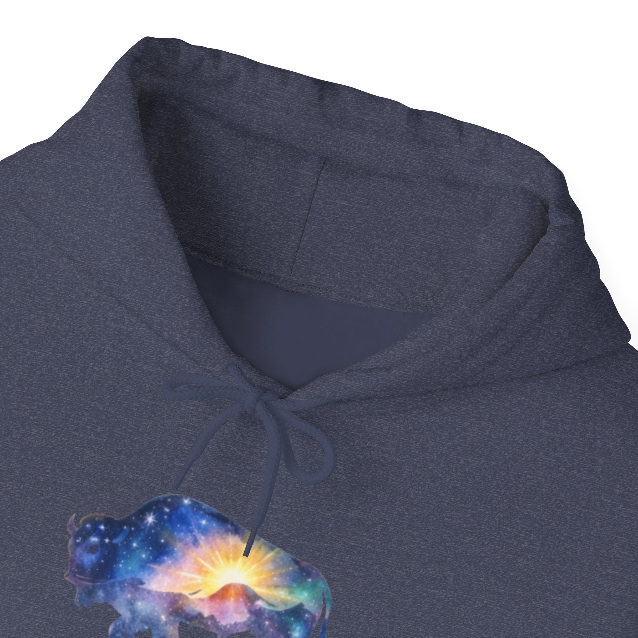 Colorful Bison Graphic Pullover