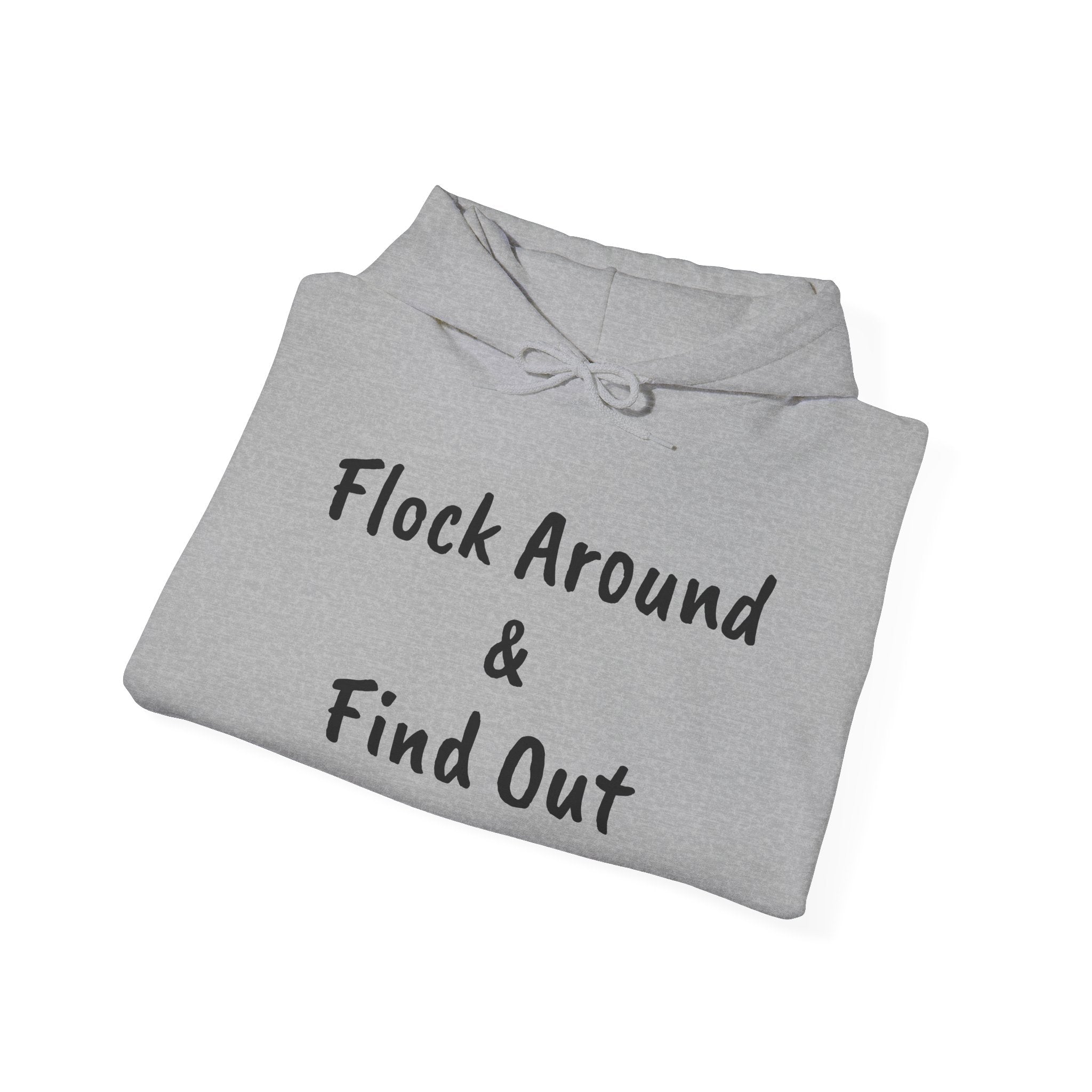 Flock Around & Find Out Hoodie | Funny Typography Pullover