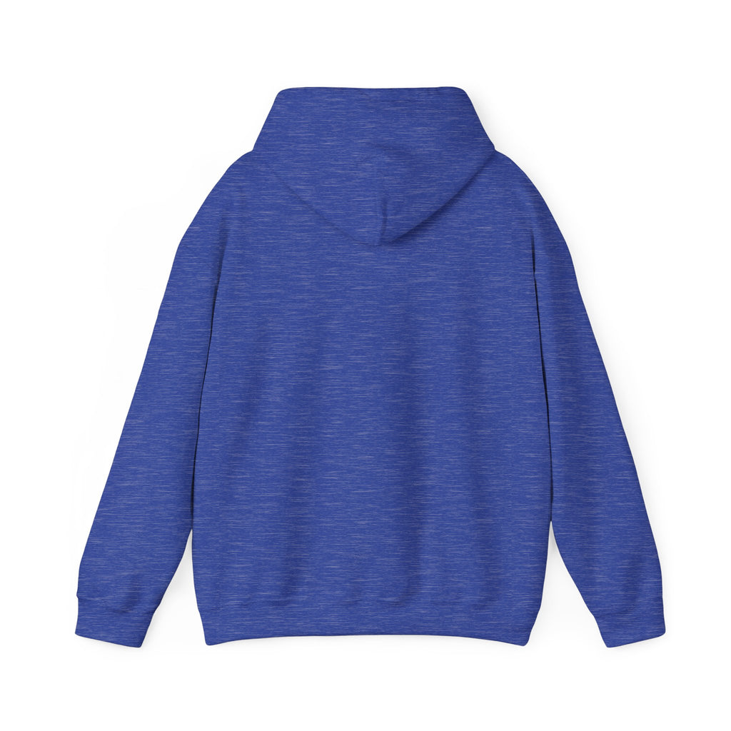 Colorful Bison Graphic Pullover