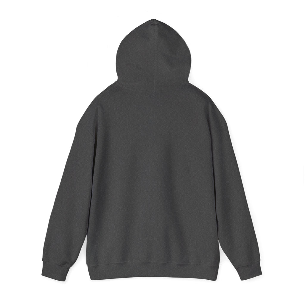 Duck Around and Find Out Hoodie — Funny Duck Graphic Hoodie