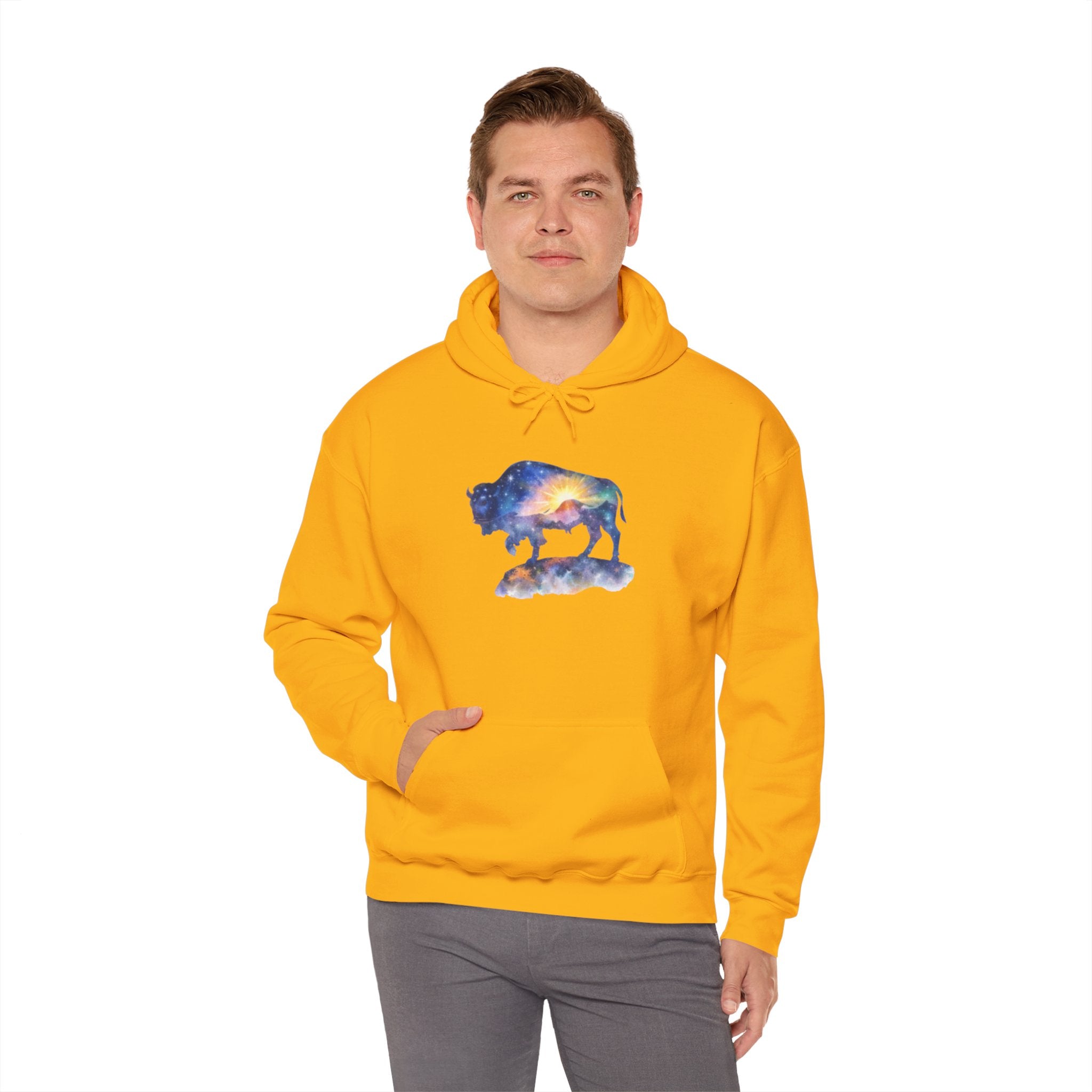 Colorful Bison Graphic Pullover