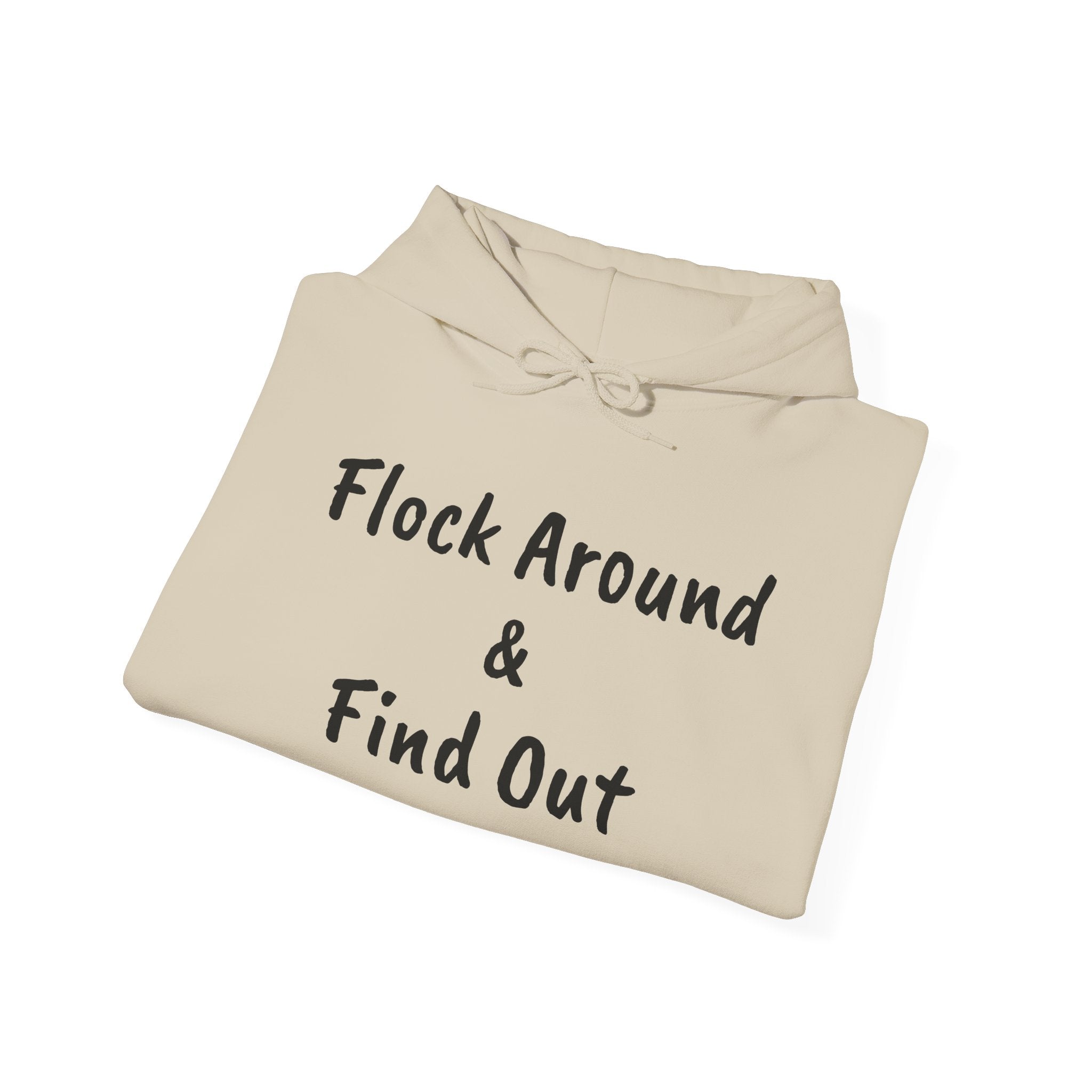 Flock Around & Find Out Hoodie | Funny Typography Pullover