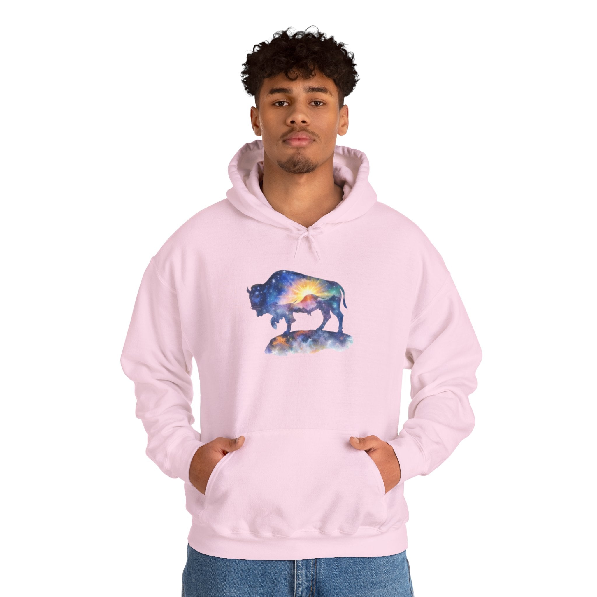 Colorful Bison Graphic Pullover