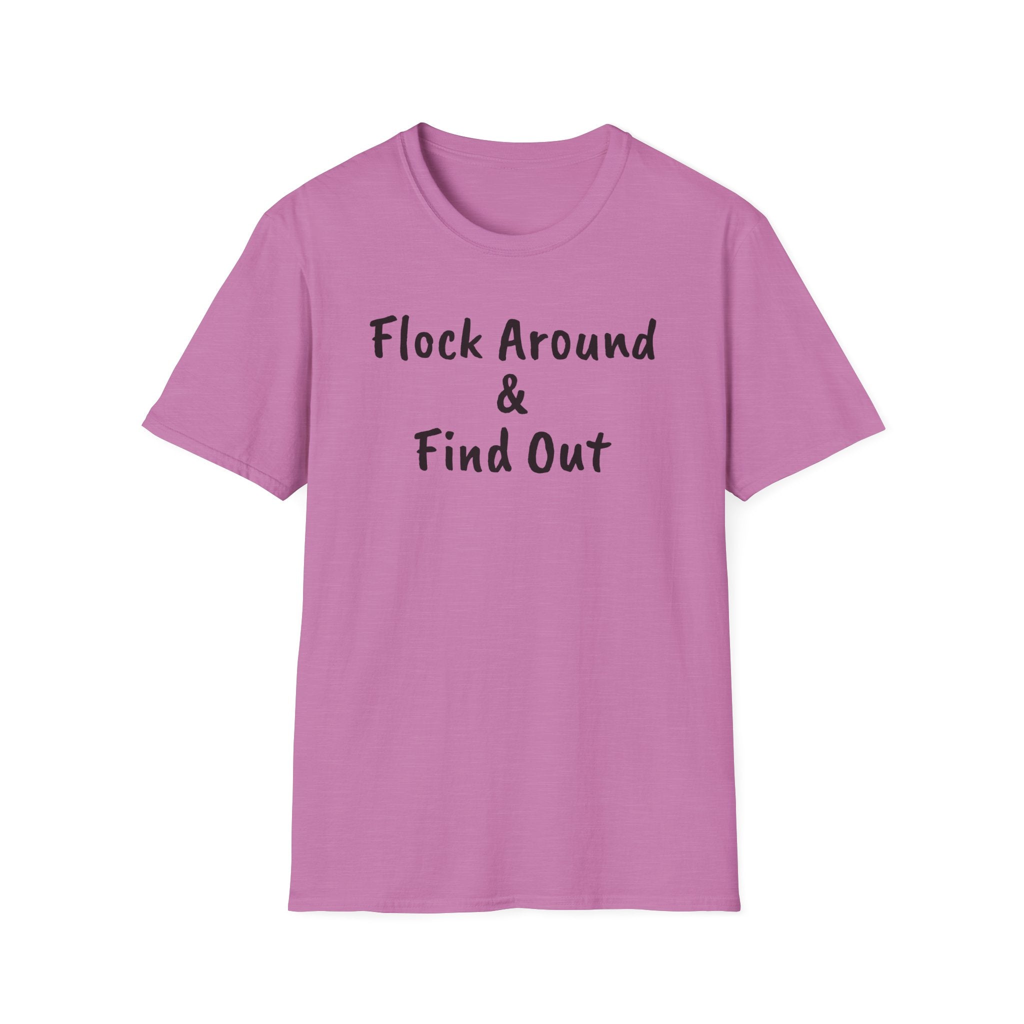 Copy of Flock Around and Find Out — Distressed Embroidered Dad Hat