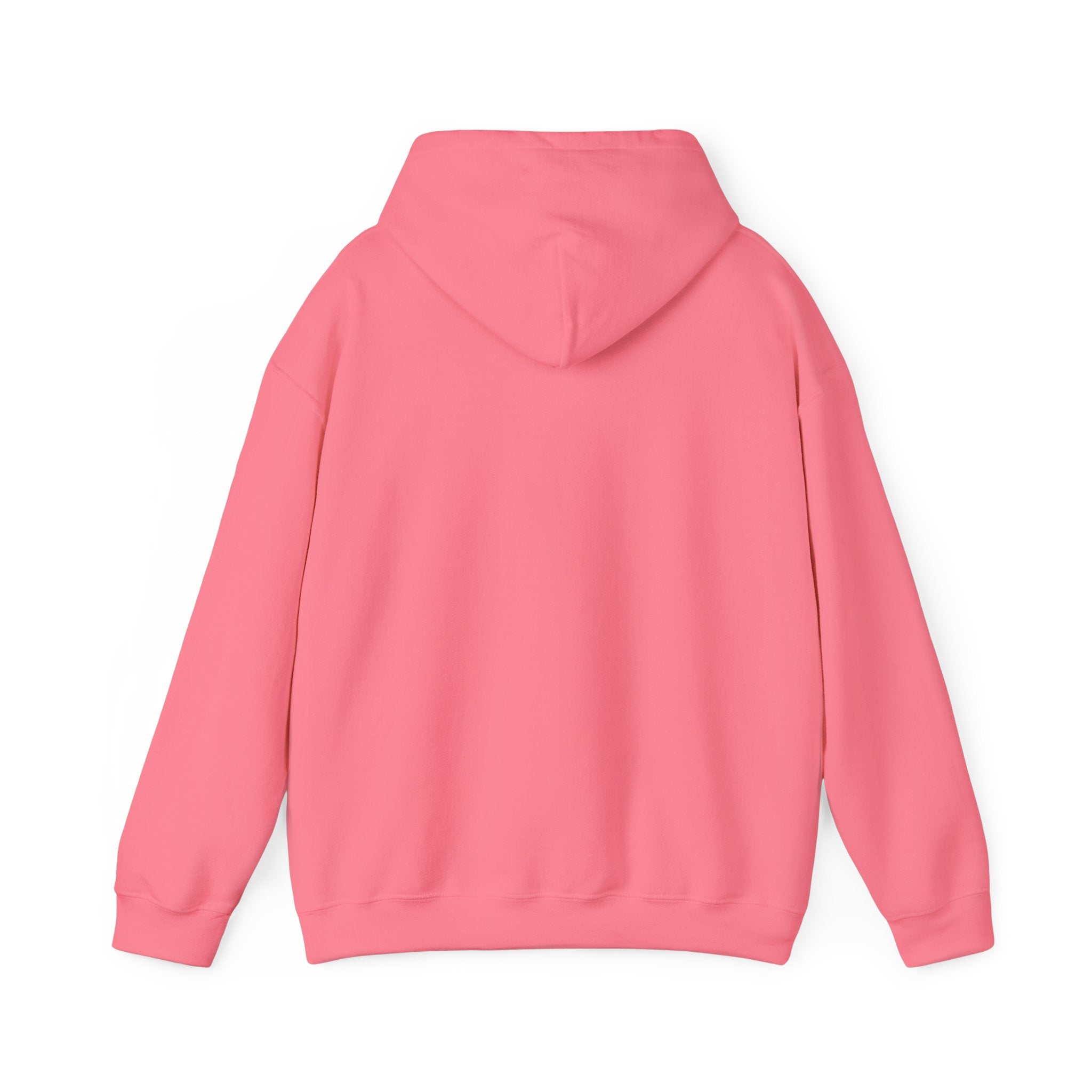 Duck Around Find Out Hoodie | Funny Phrase Pullover Sweatshirt